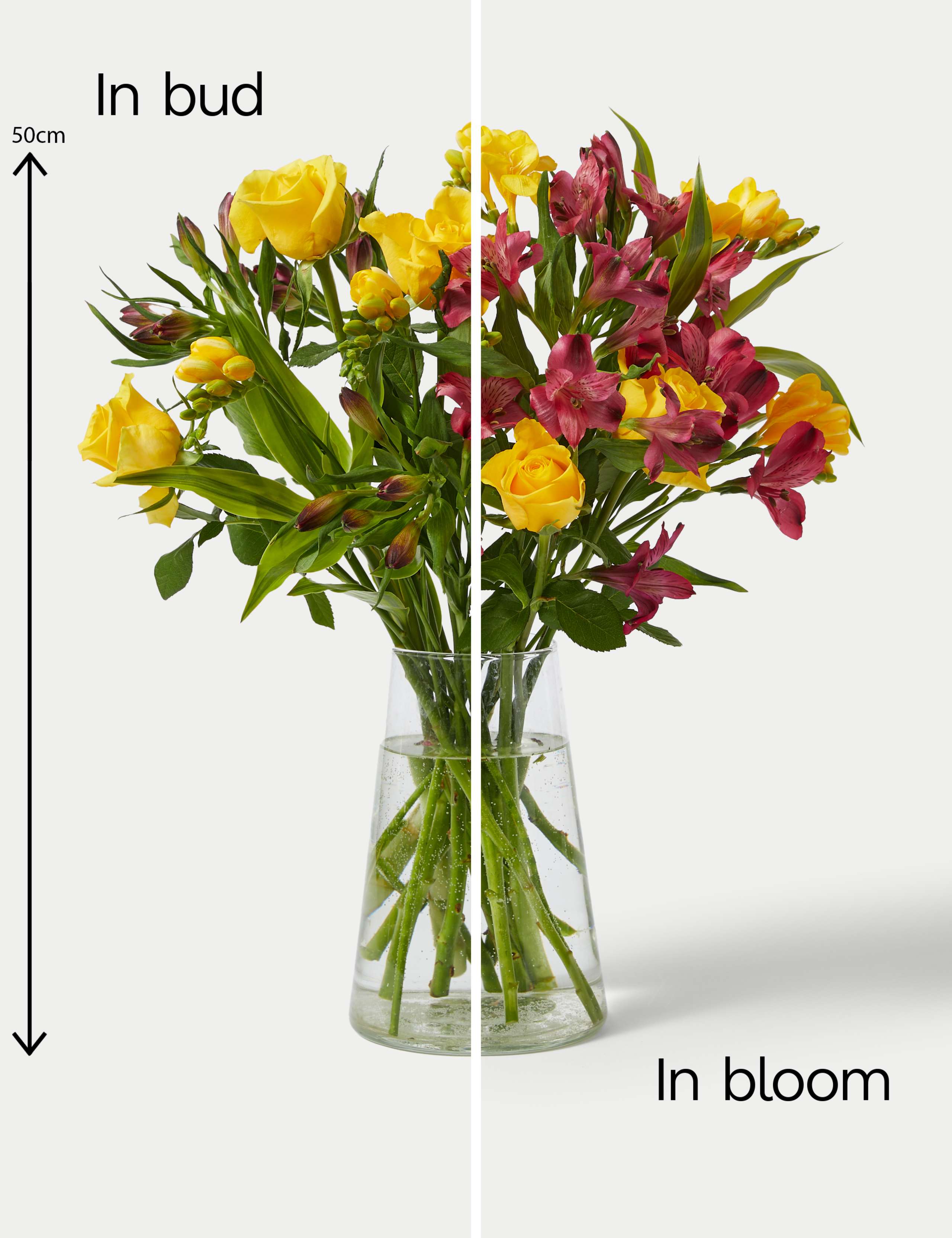 Alstroemeria, Rose & Freesia Bouquet 5 of 5