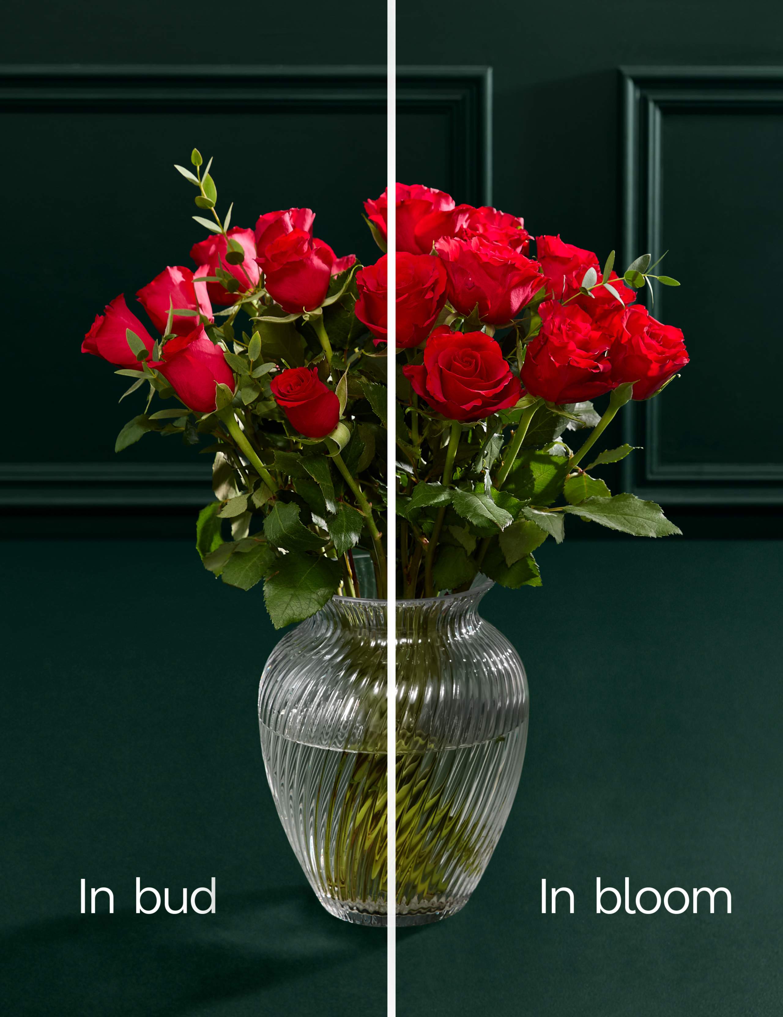 Valentine's Red Rose Abundance Bouquet with Vase 4 of 6