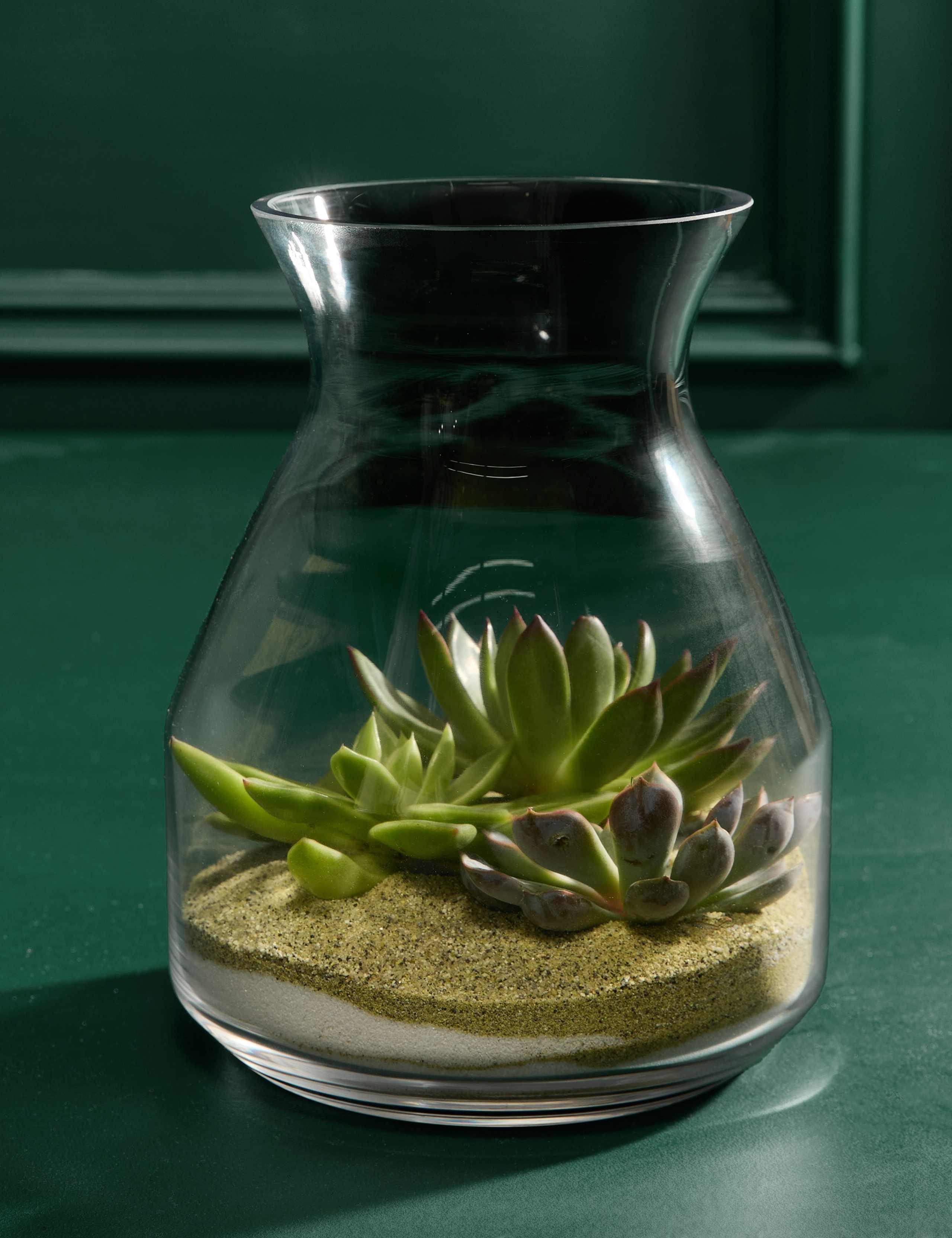 Succulent Bottle Garden Kit 3 of 3