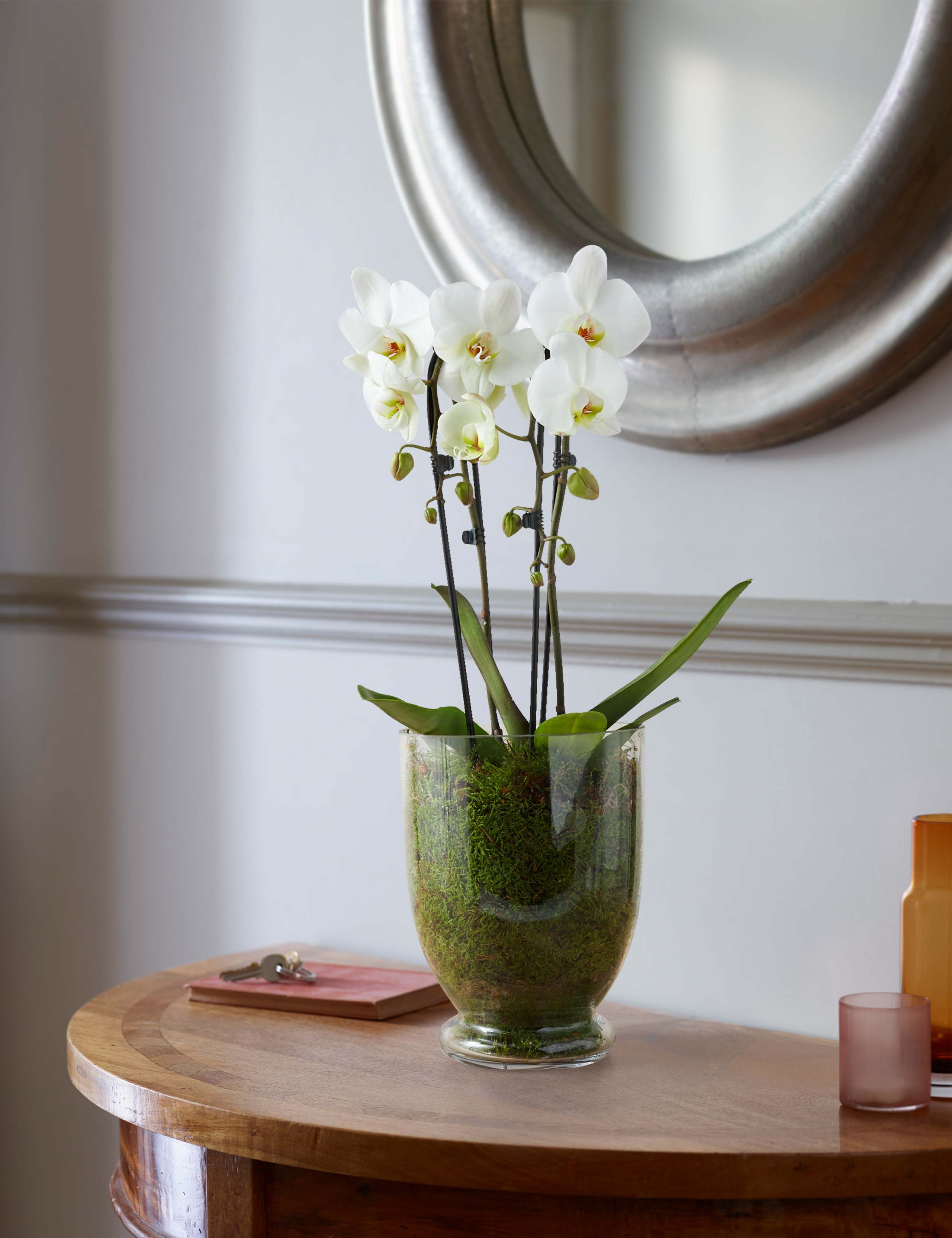 Luxury Orchid Glass 1 of 4