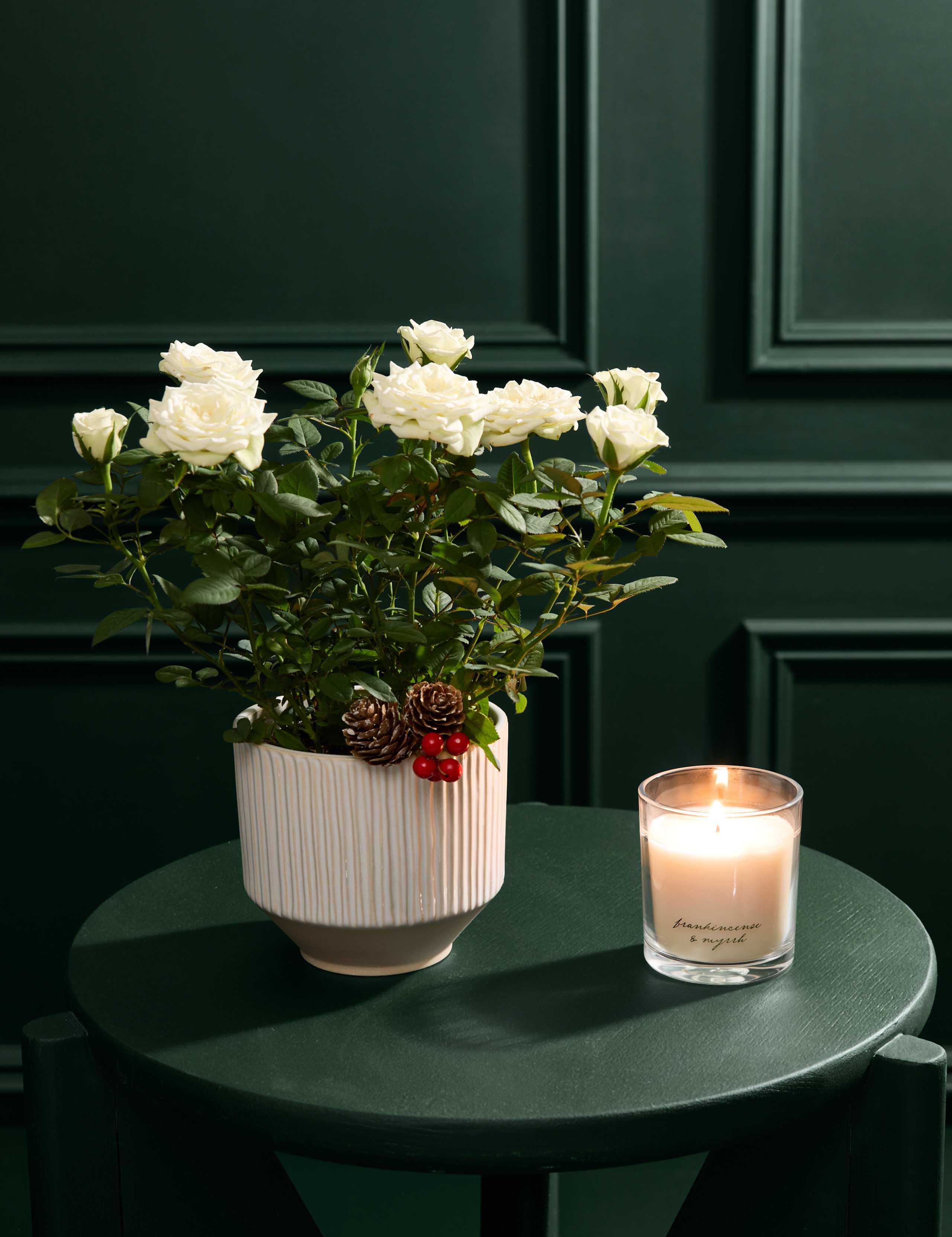 Christmas White Rose with Christmas Candle 1 of 6