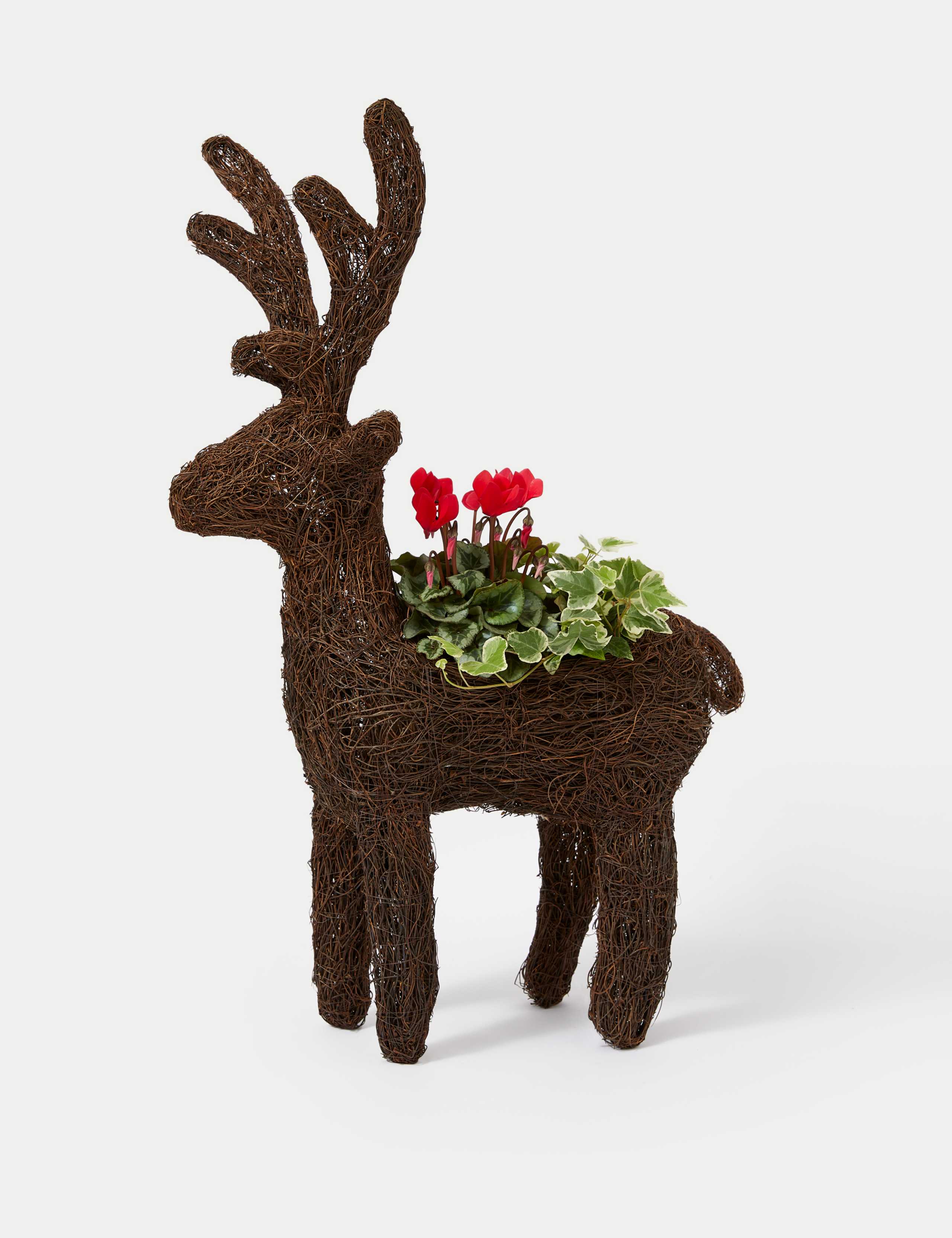 Outdoor Reindeer Red Cyclamen Planter 2 of 4