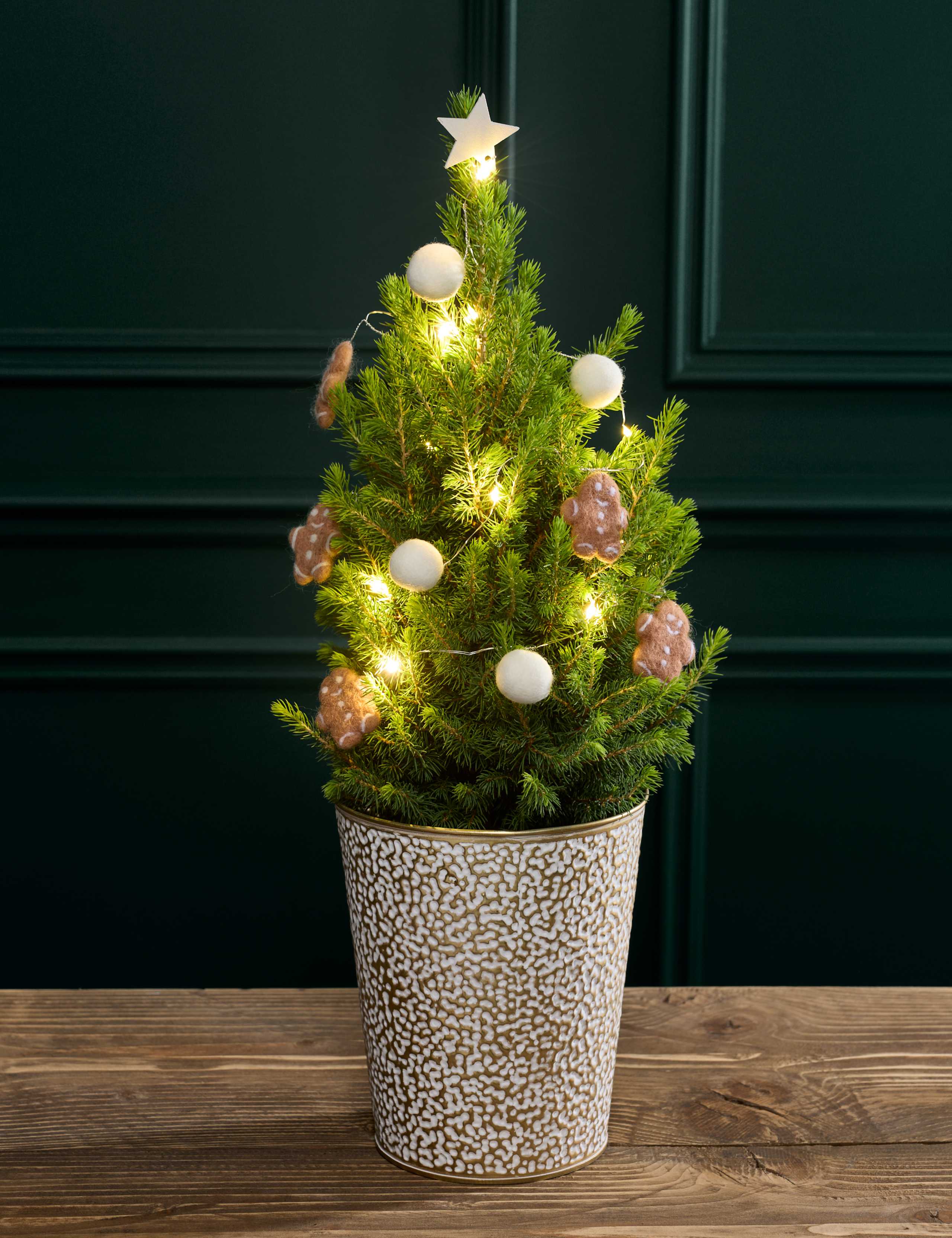 Gold Decorated Real Christmas Tree in Tin Pot 55-60cm 1 of 3