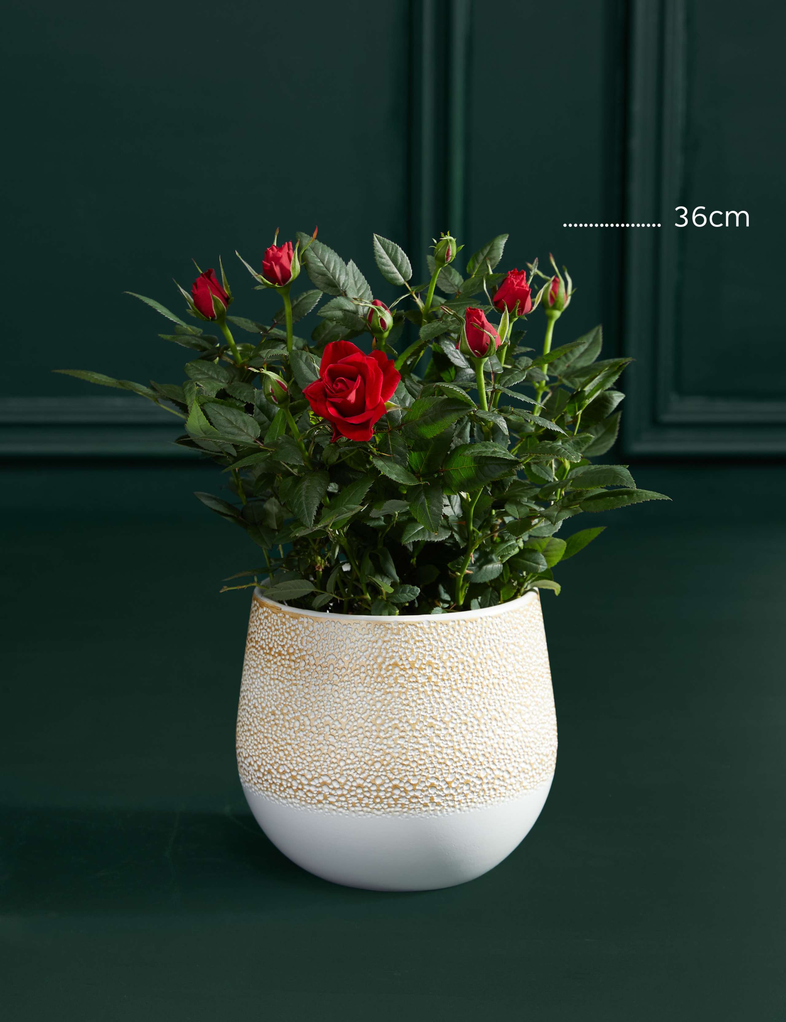 Red Rose Ceramic 3 of 3