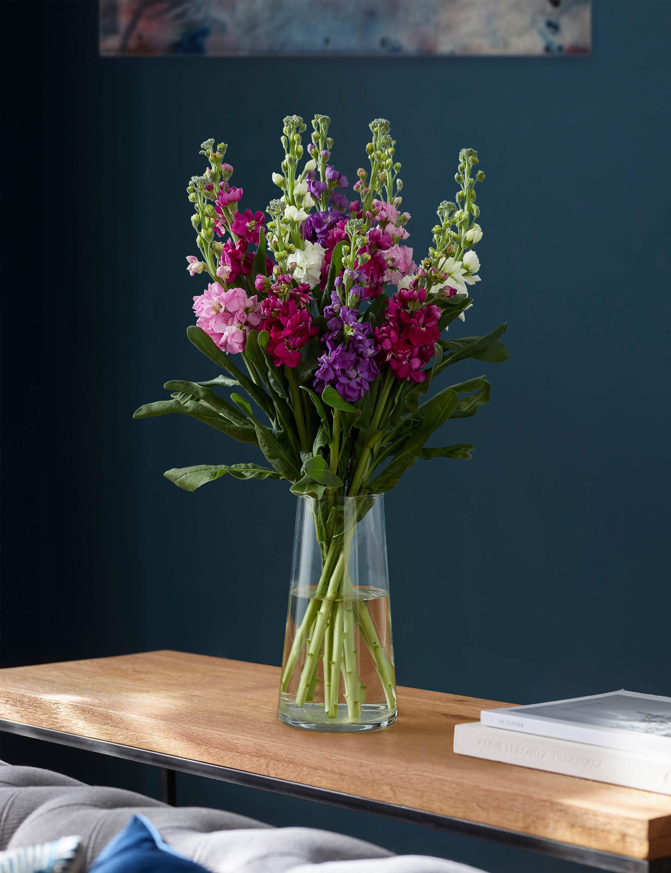 Collection Giant Scented Stock (Delivery from 3rd April 2021) 1 of 4