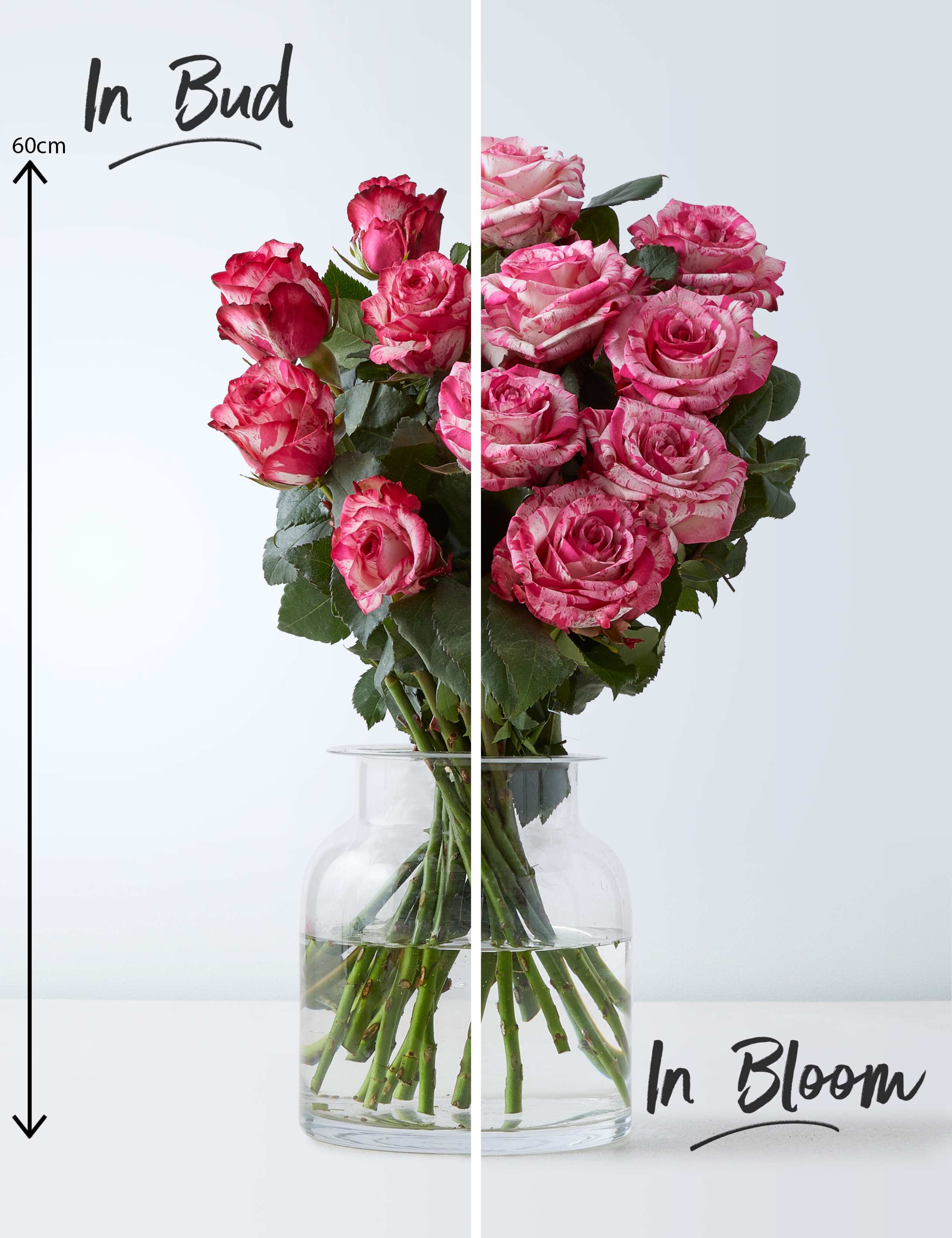 Magic Times Roses Bouquet 3 of 4