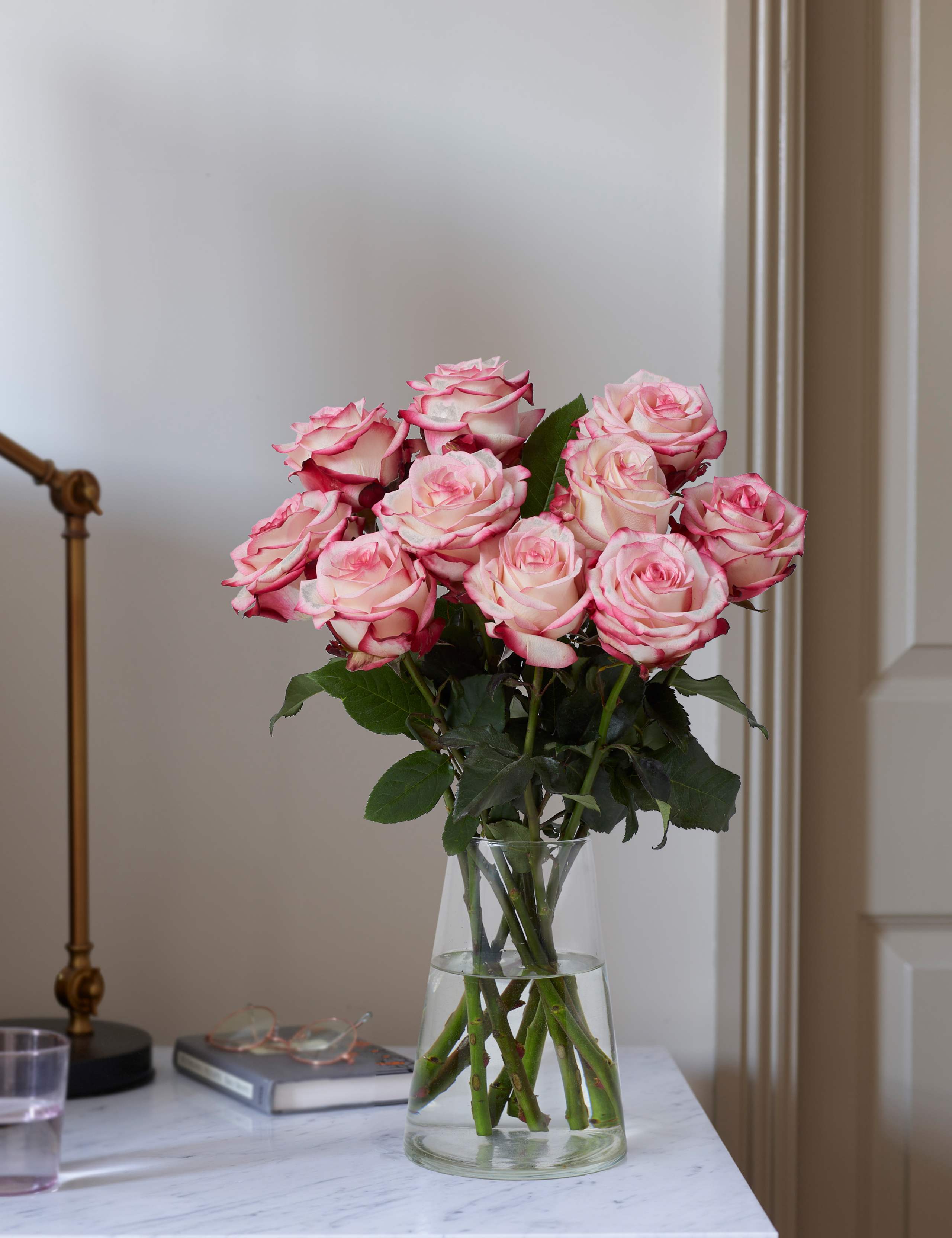 Paloma Roses 1 of 4