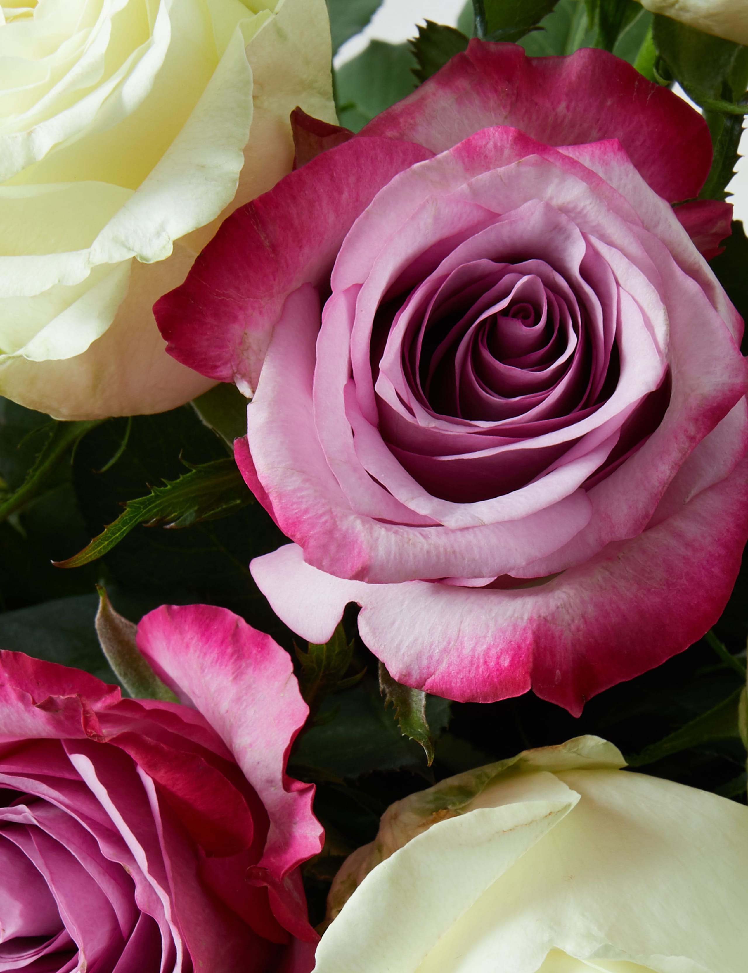 Christmas Mixed Rose Bouquet 4 of 5