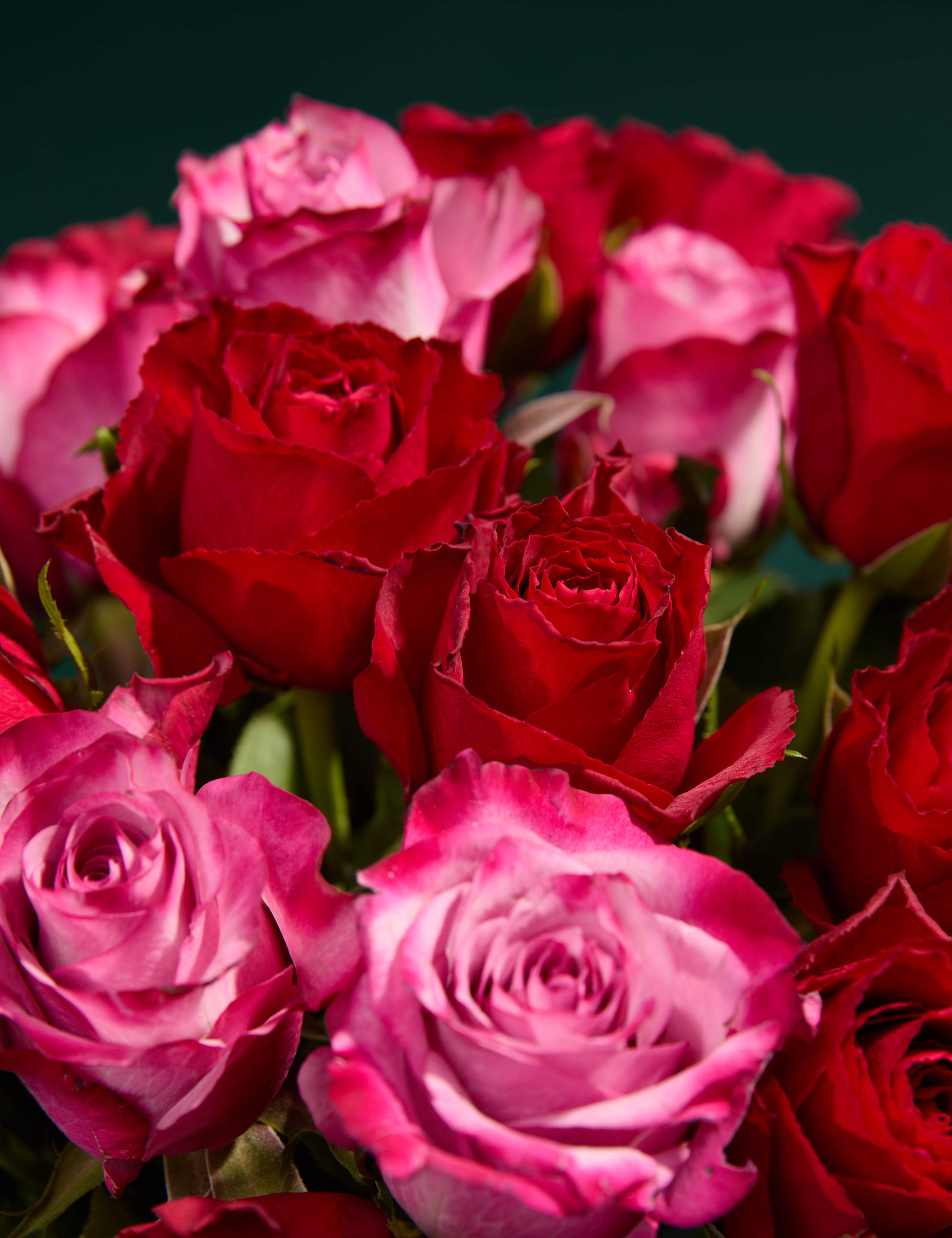 Valentine's Mixed Rose Gift Bag 3 of 6