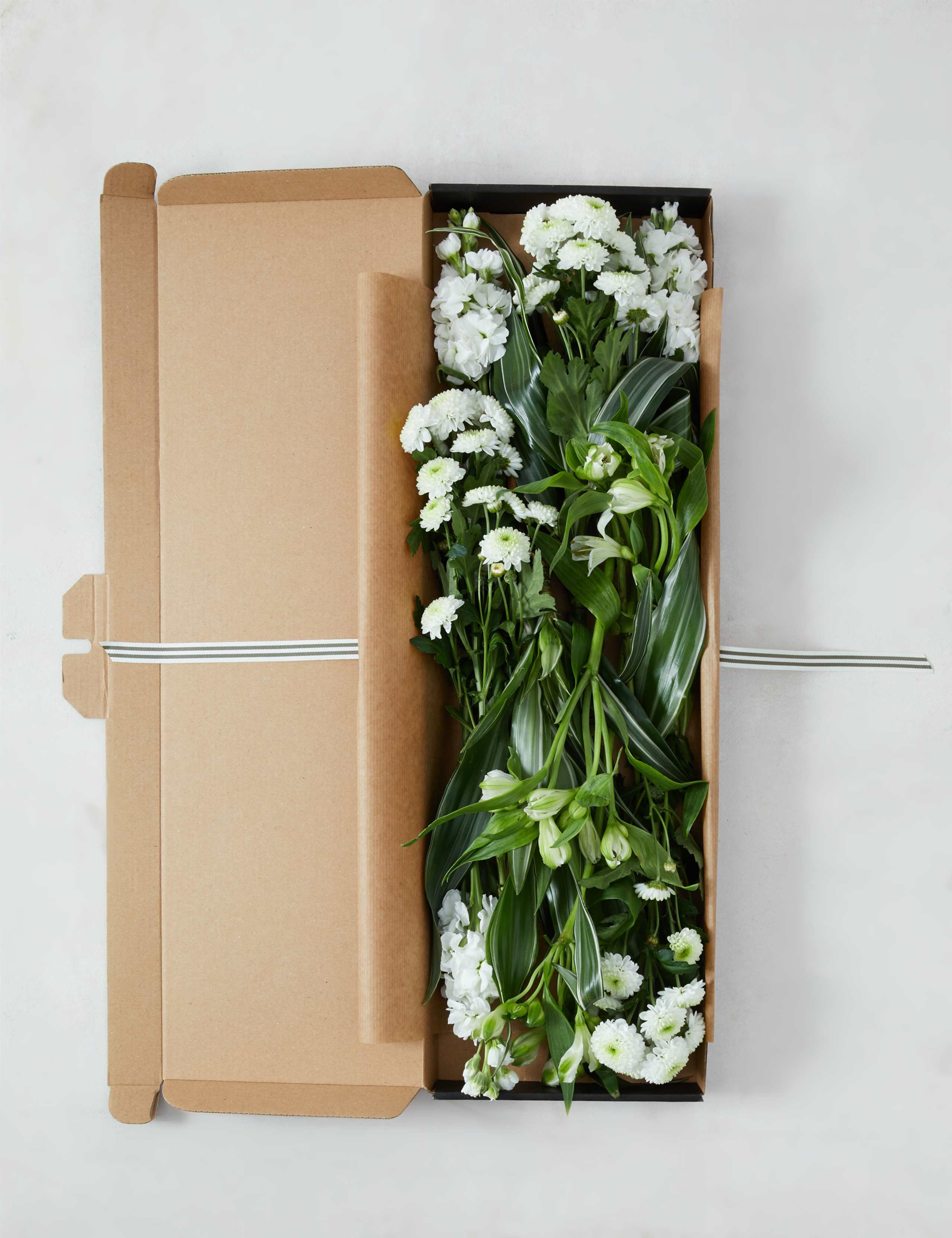 White Spring Letterbox 2 of 6