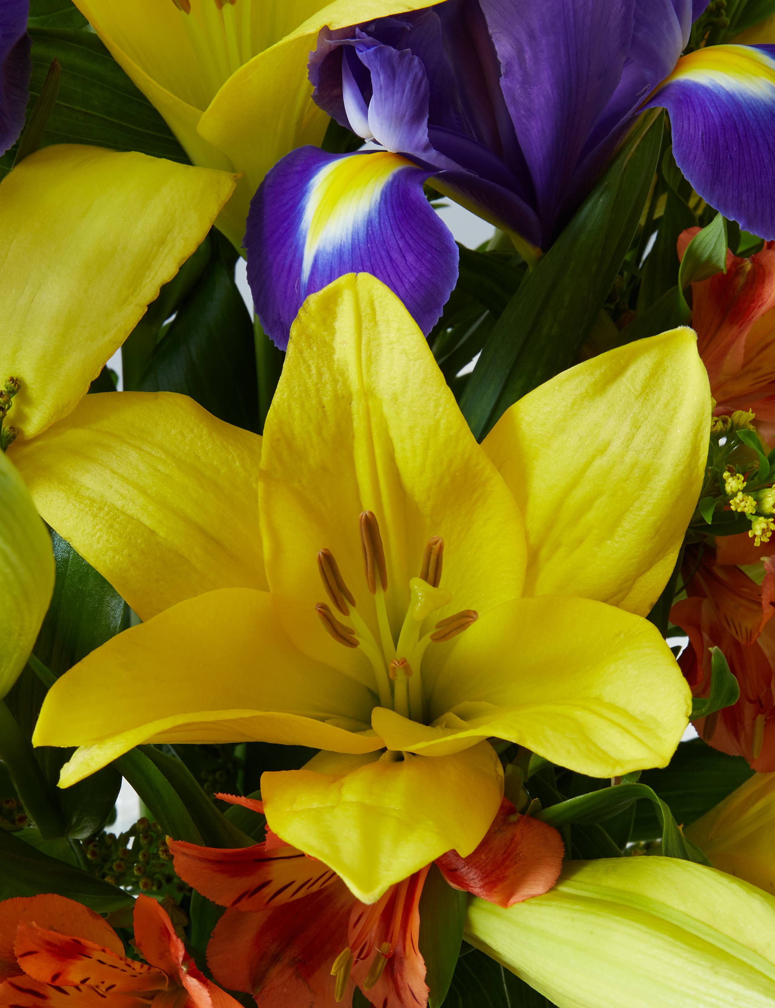 Bright Spring Letterbox 4 of 6