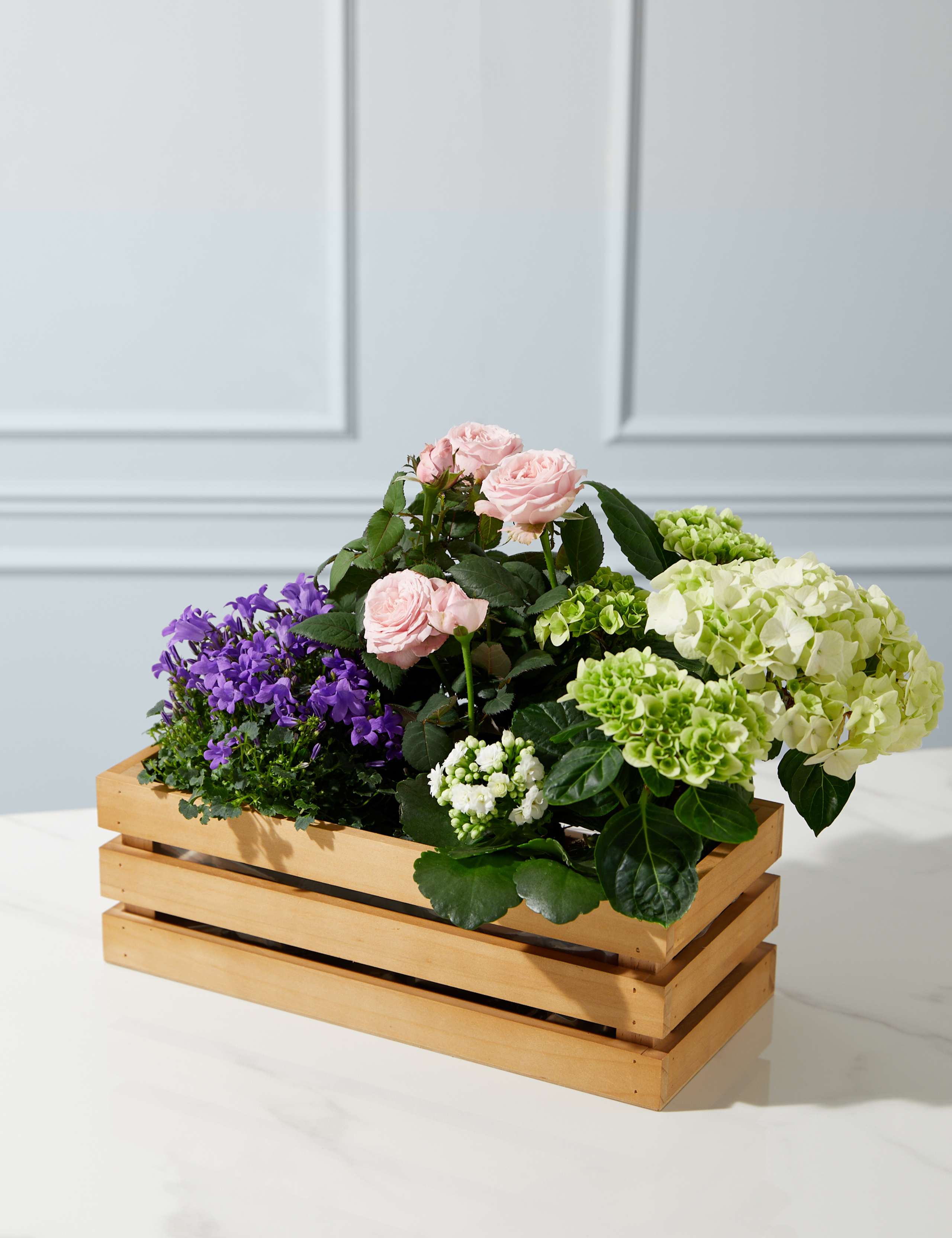 Flowering Crate 1 of 4