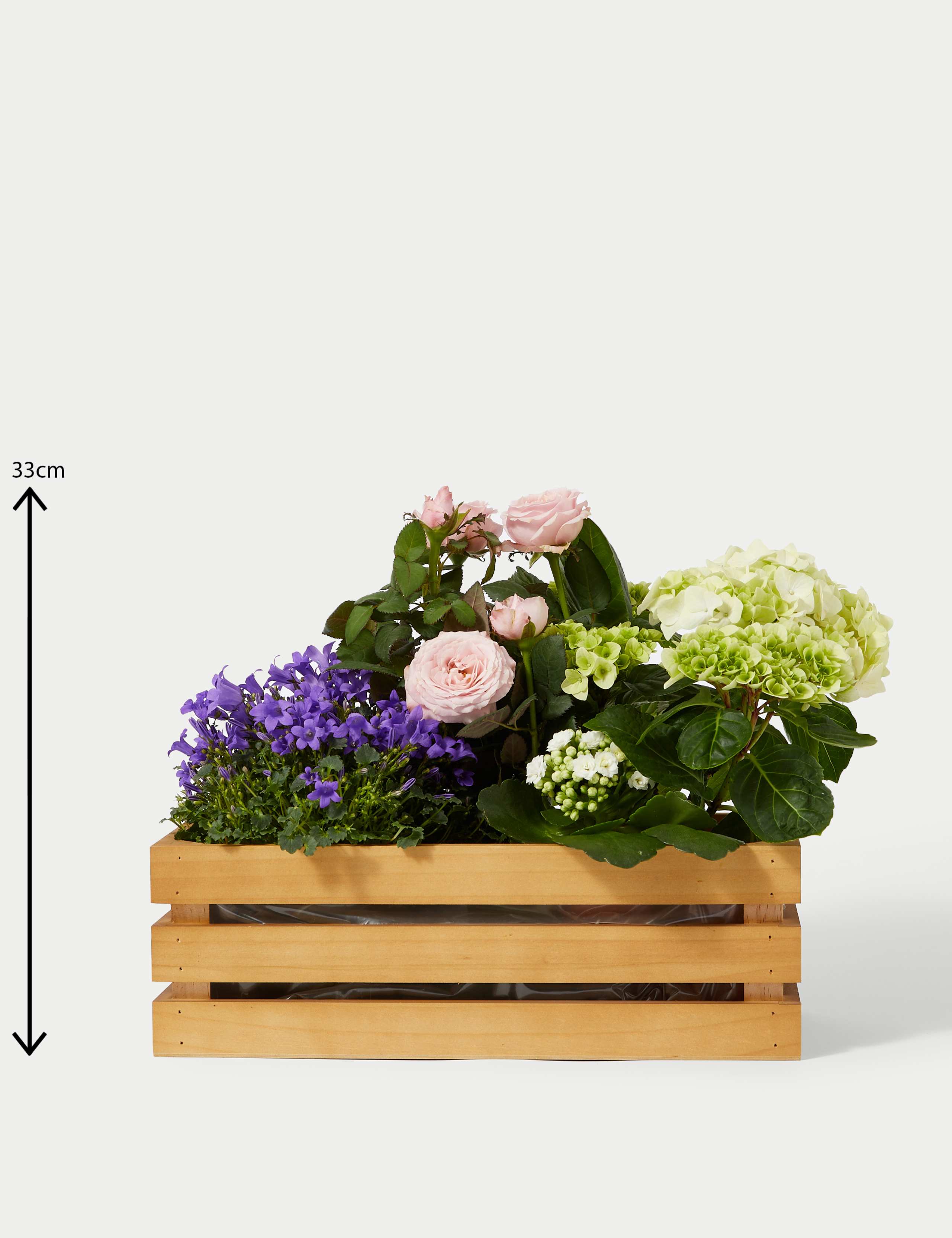 Flowering Crate 4 of 4