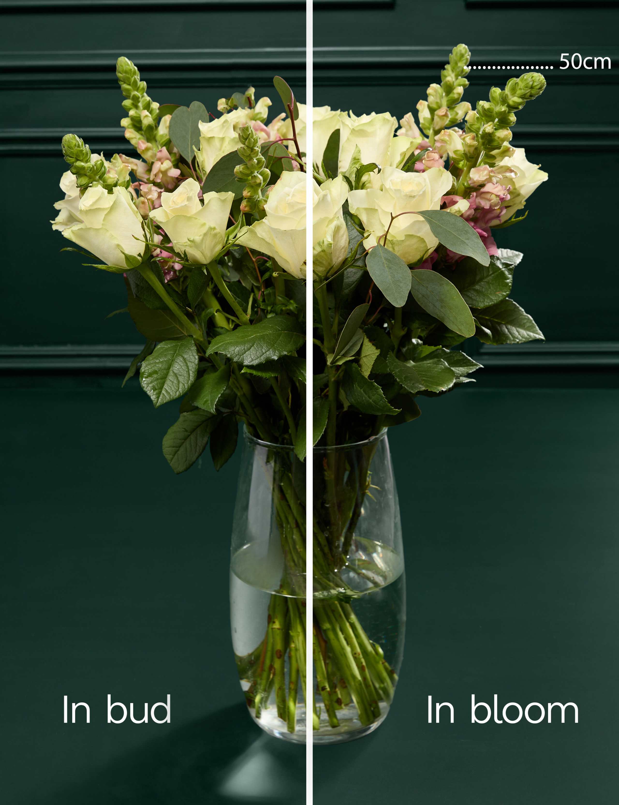 Lovely Mum Rose Bouquet 4 of 6