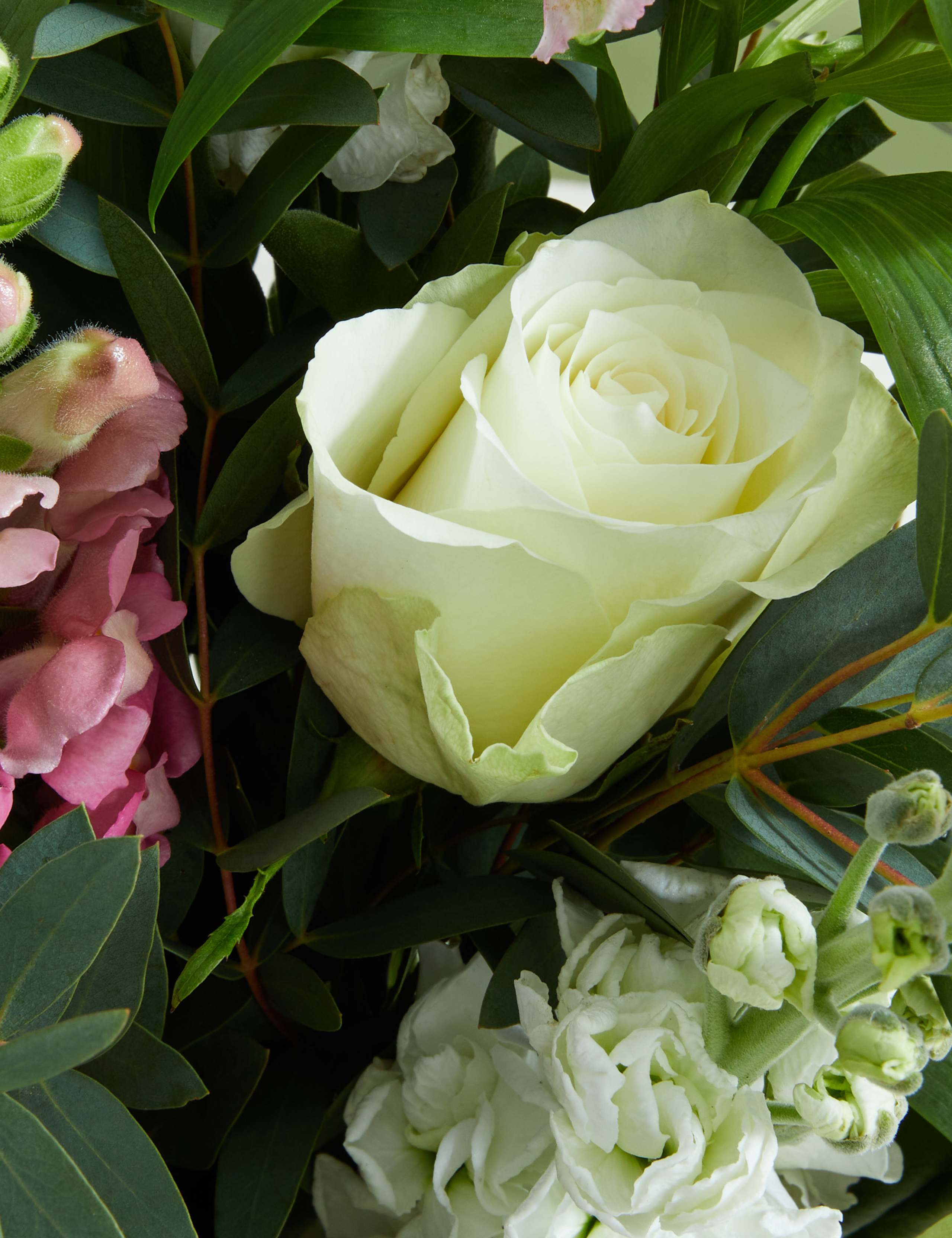 Lovely Mum Bouquet Prosecco Rosé Bundle 4 of 4