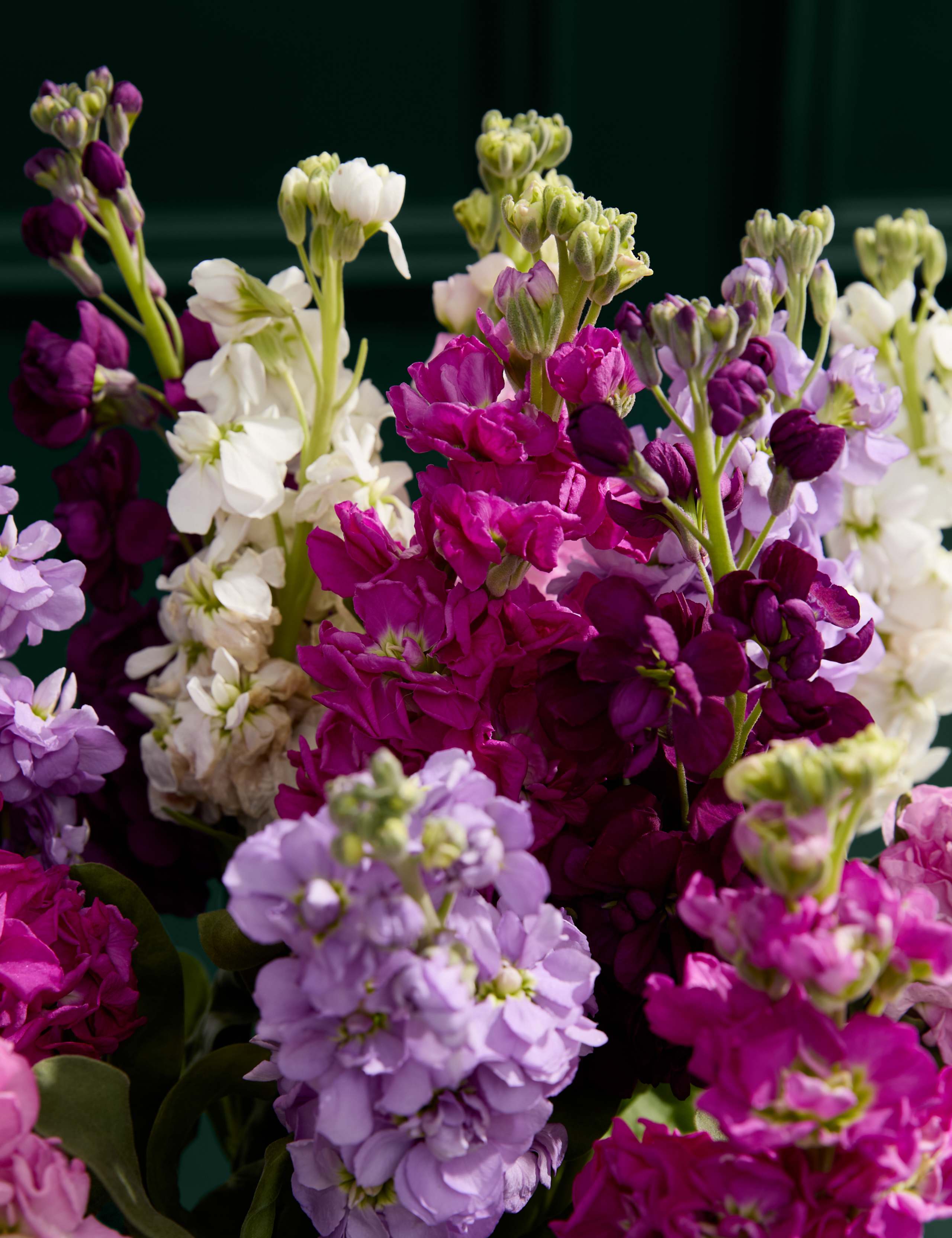 Stock Abundance Bouquet 3 of 5