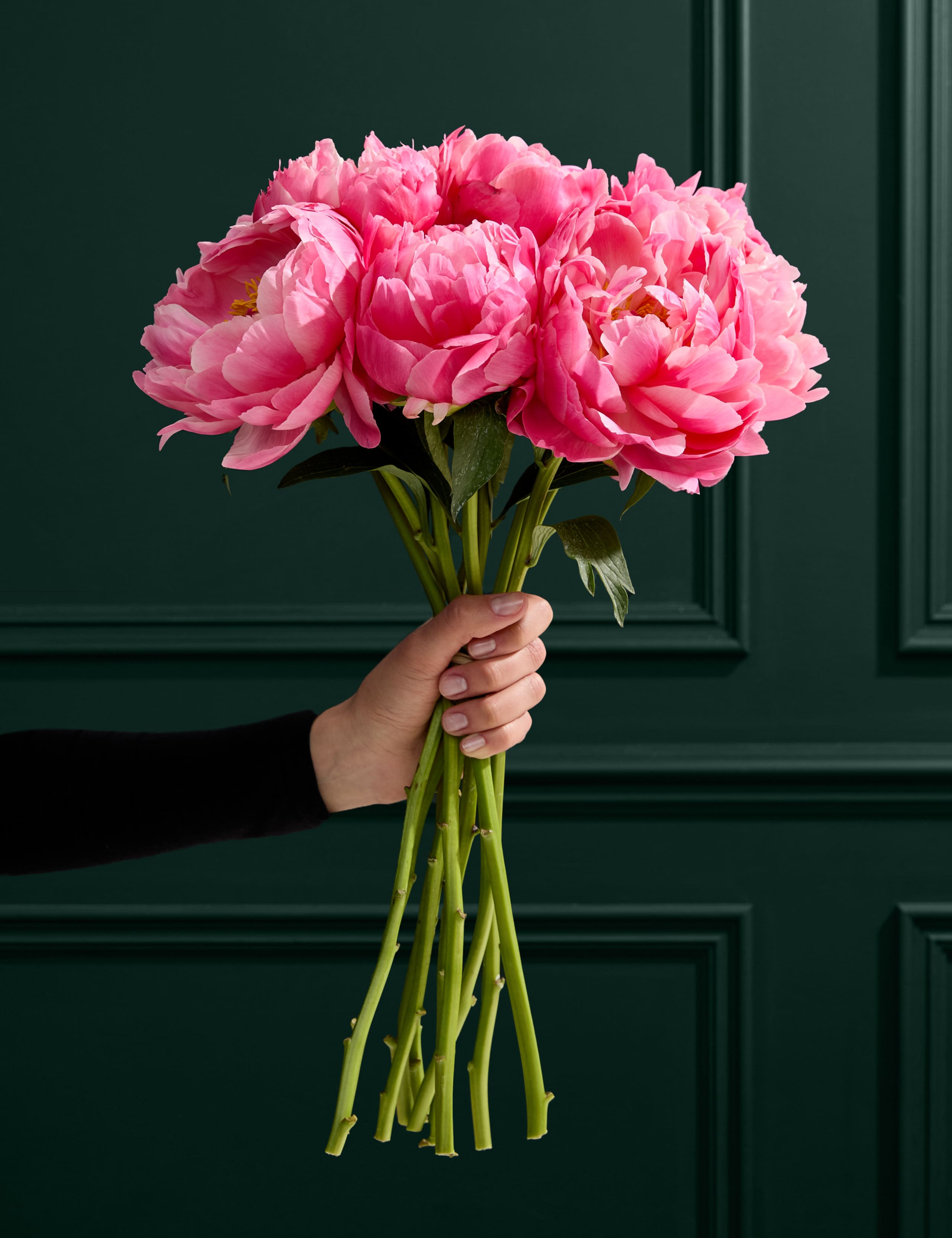 Abundance of Coral Peonies Bouquet 1 of 6
