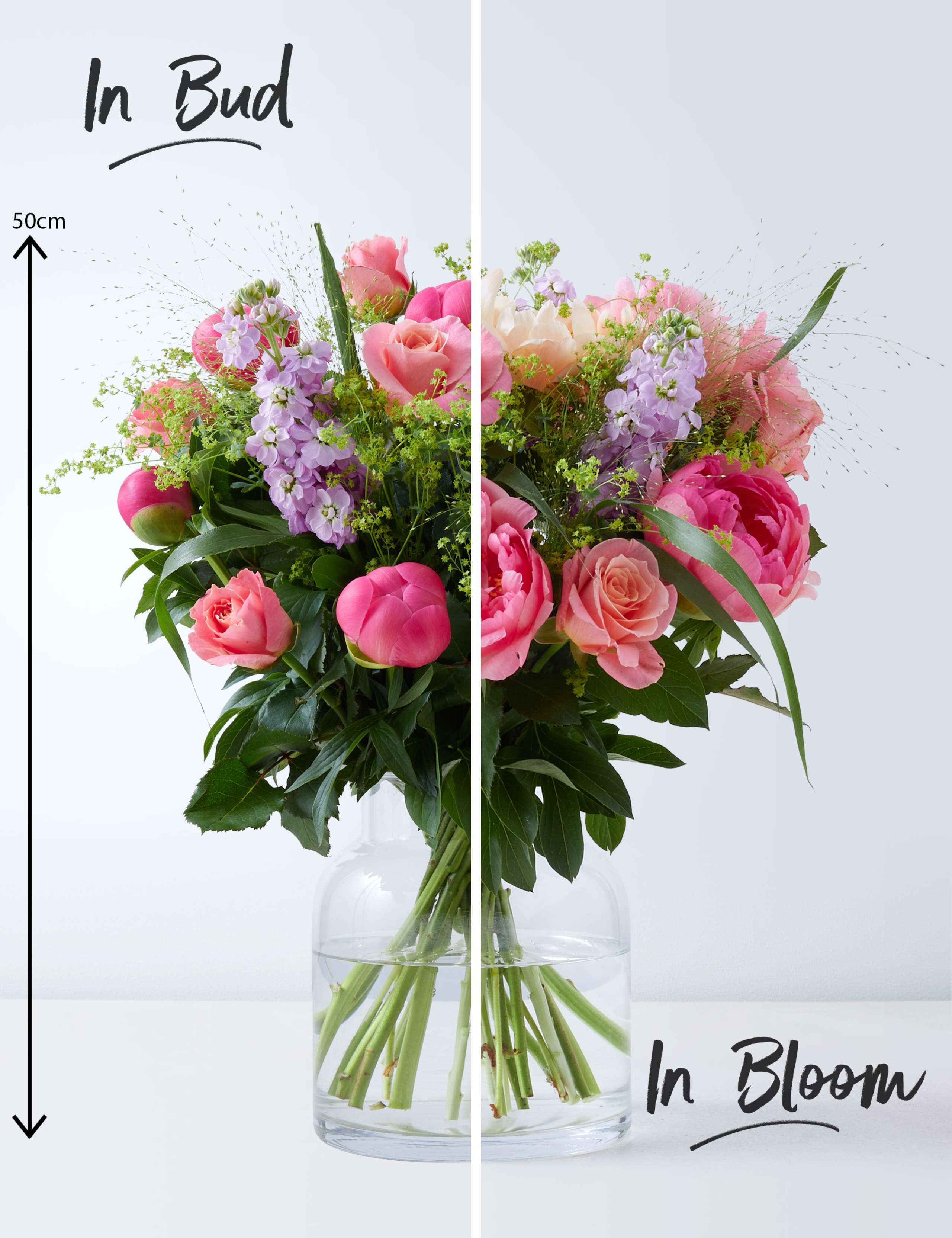 Coral Rose & Peony Bouquet 3 of 4