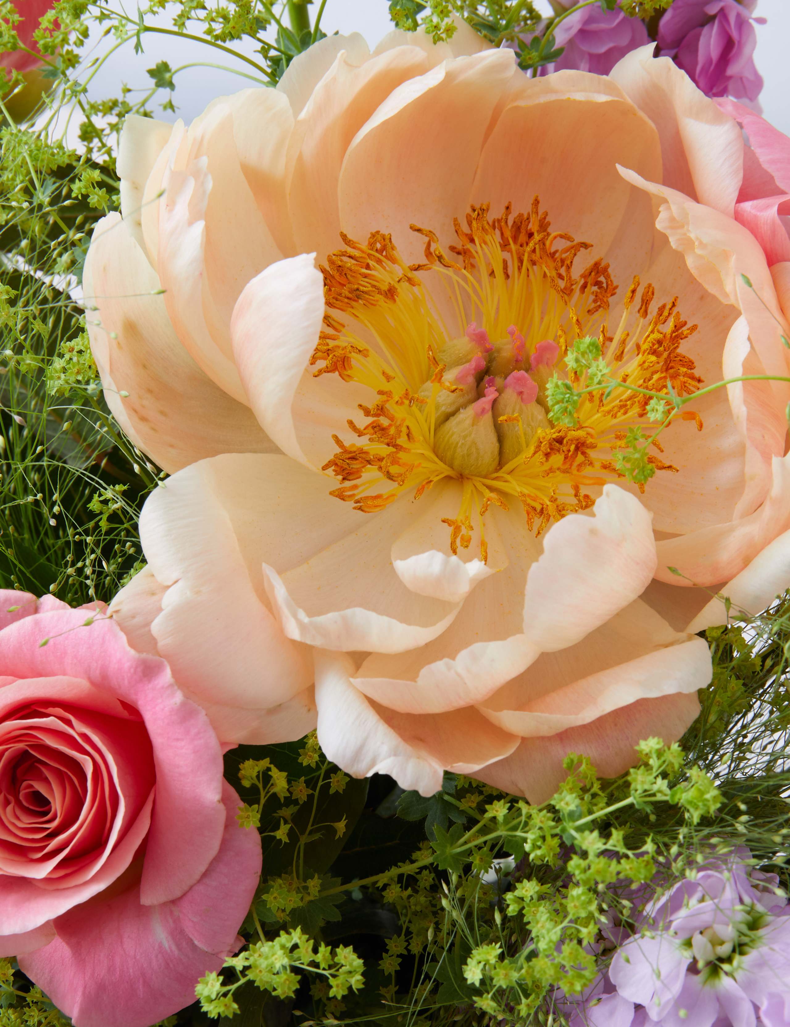 Coral Rose & Peony Bouquet 4 of 4