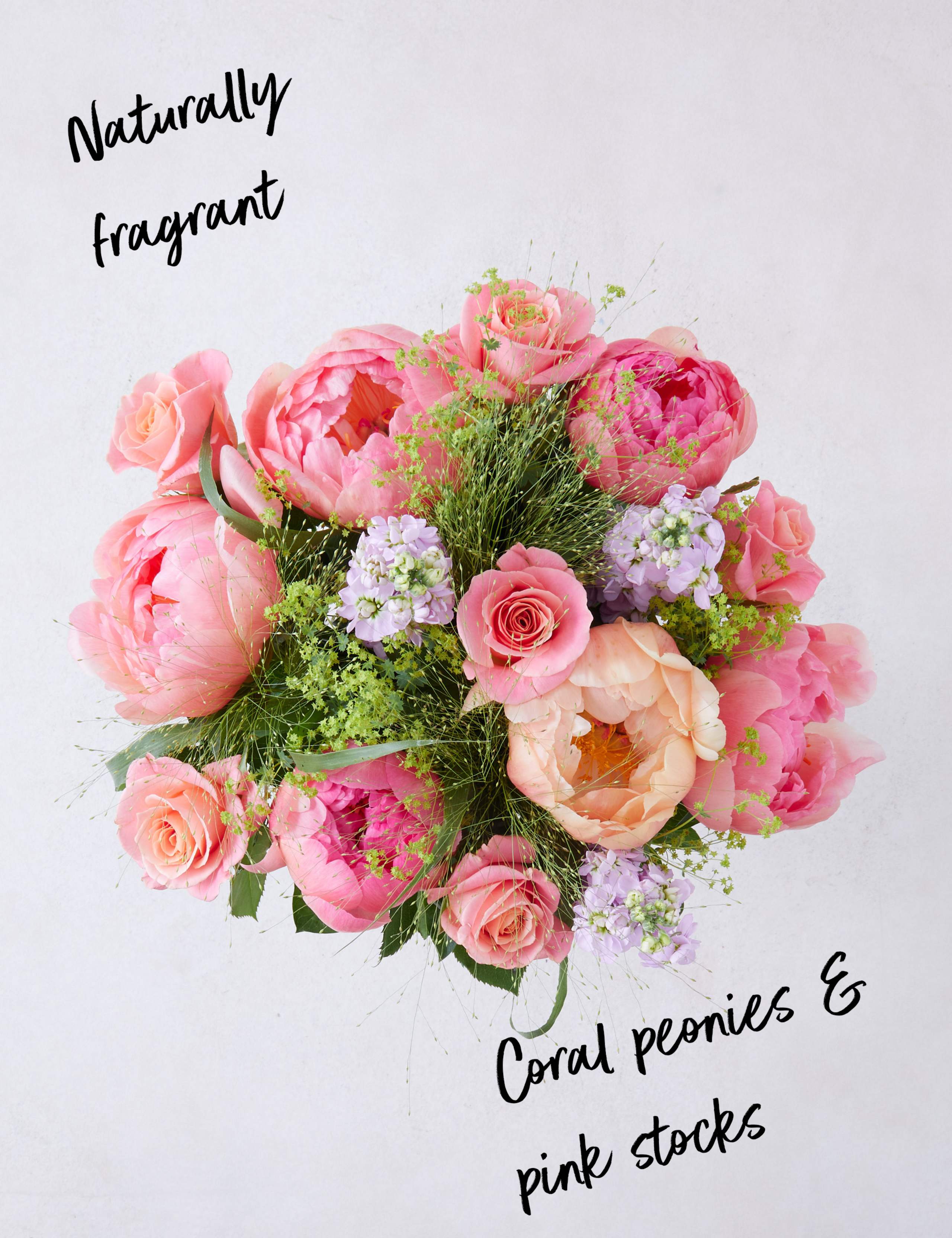 Coral Rose & Peony Bouquet 2 of 4
