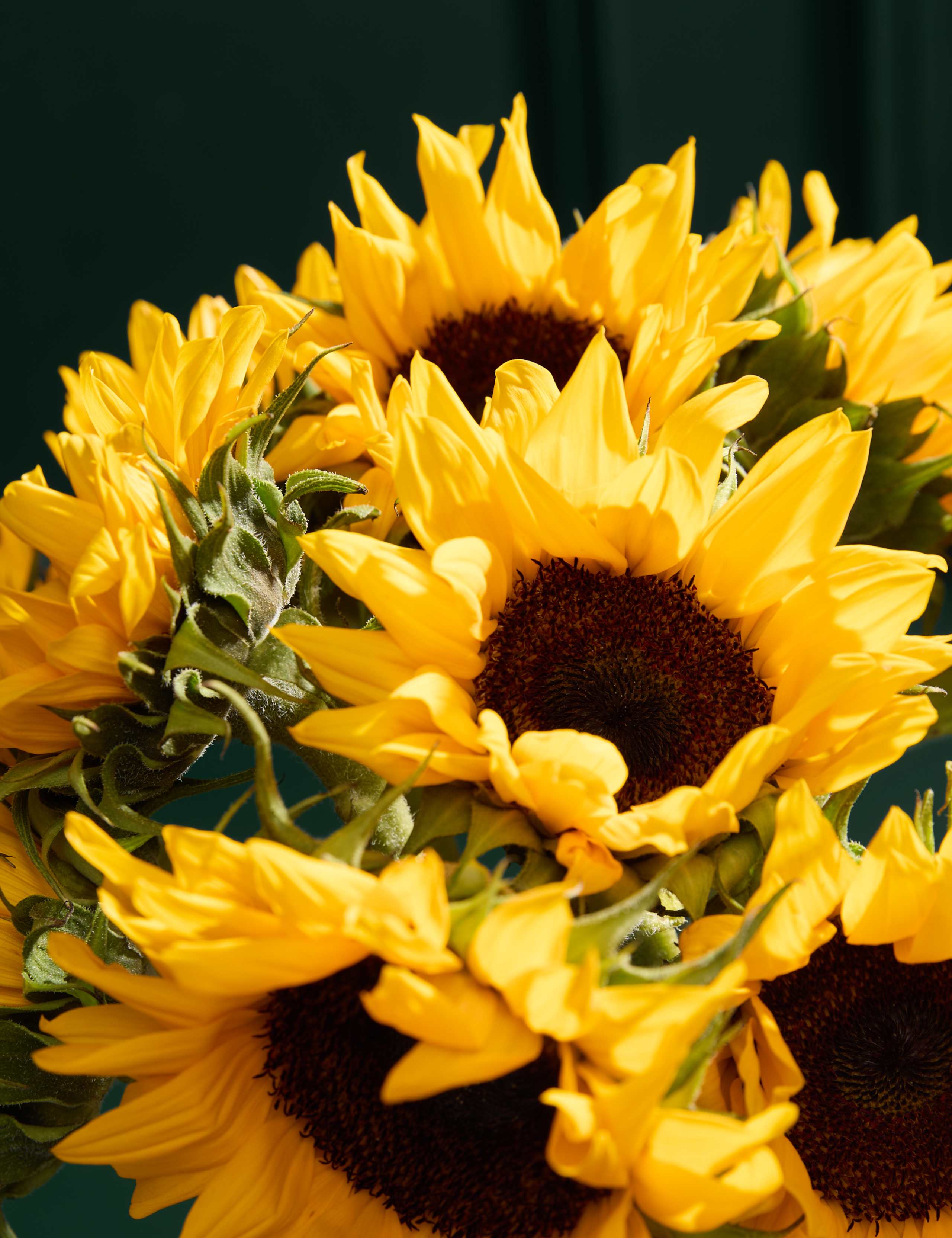 British Sunflower Abundance Bouquet 3 of 6