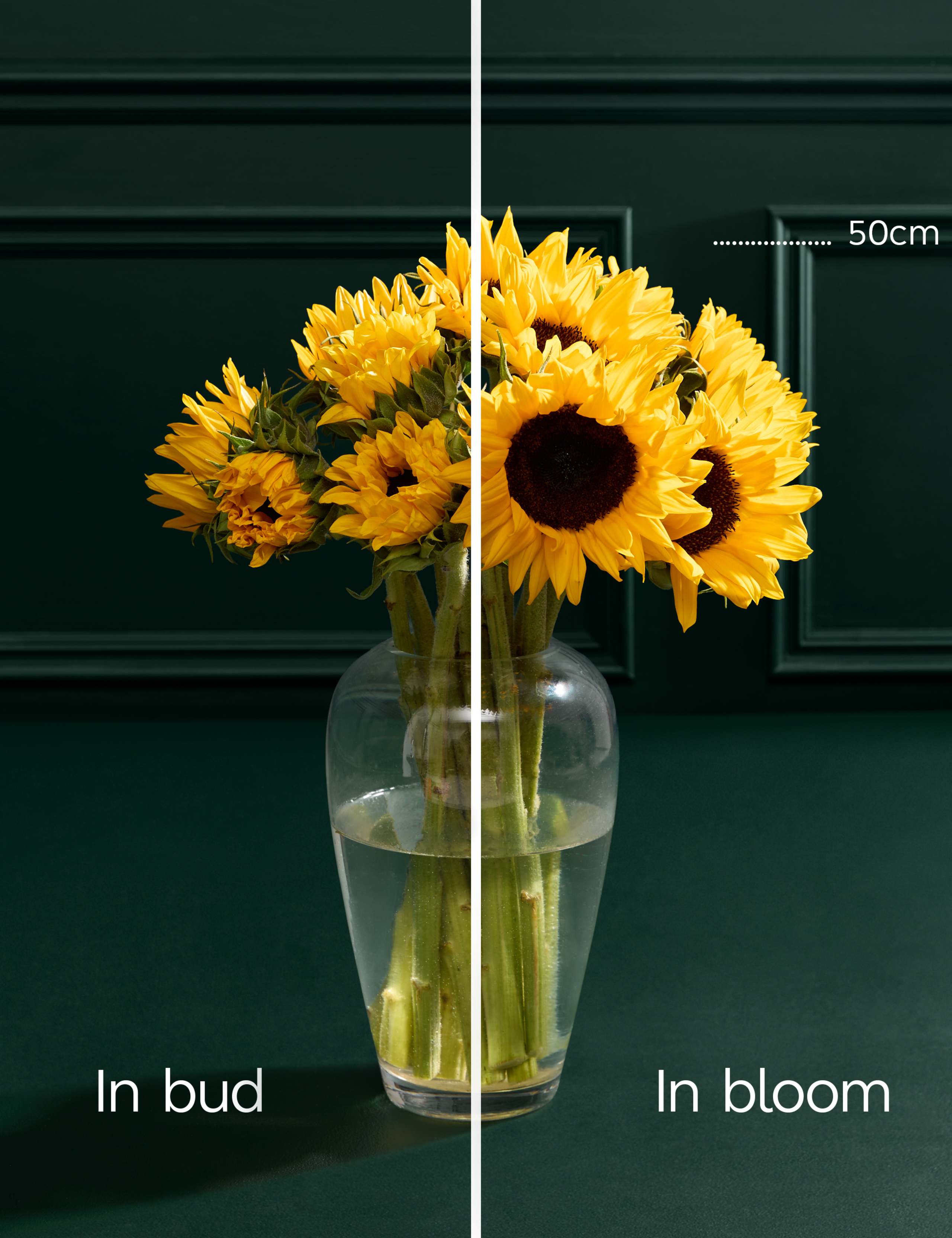 British Sunflower Abundance Bouquet 4 of 6