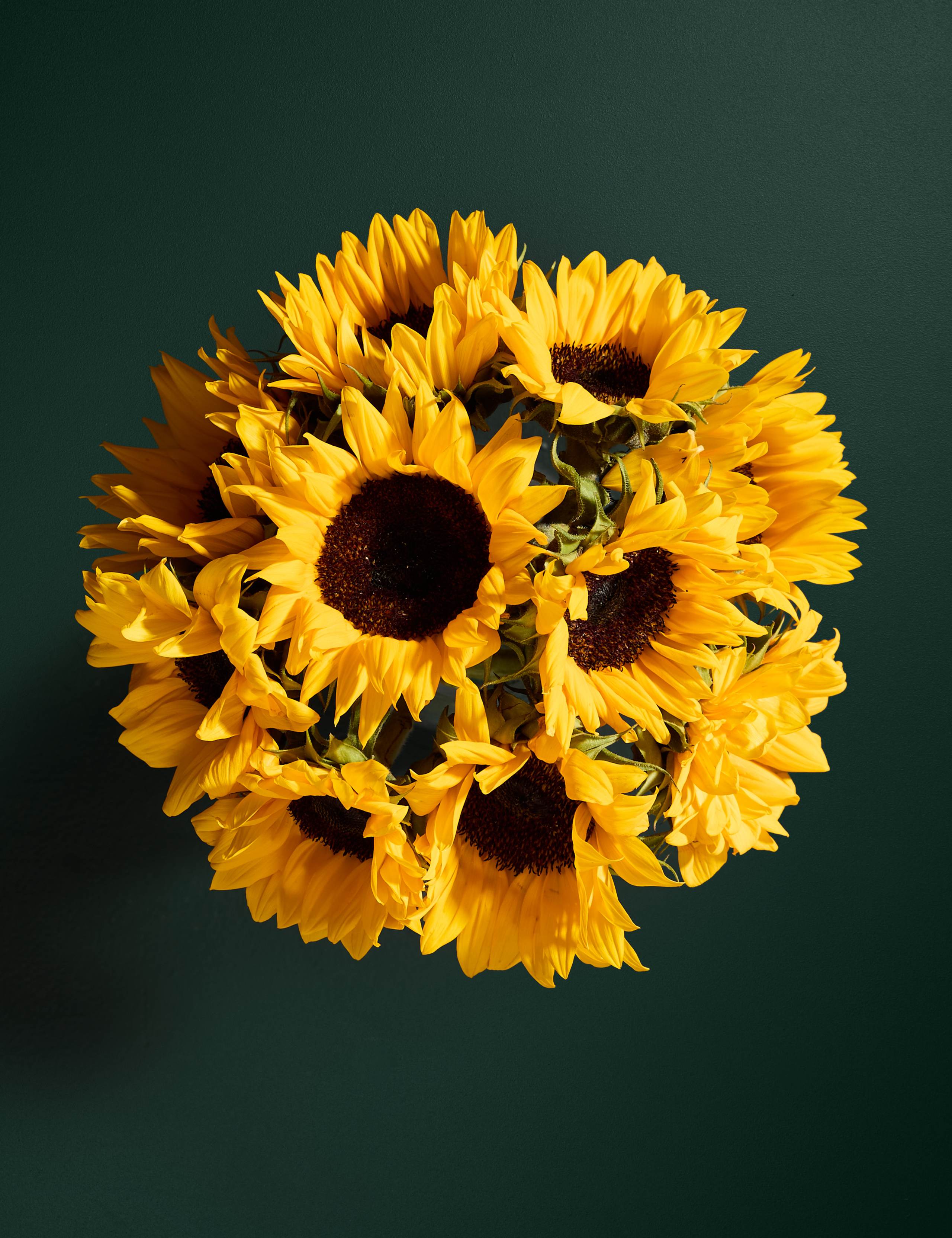 British Sunflower Abundance Bouquet 2 of 6