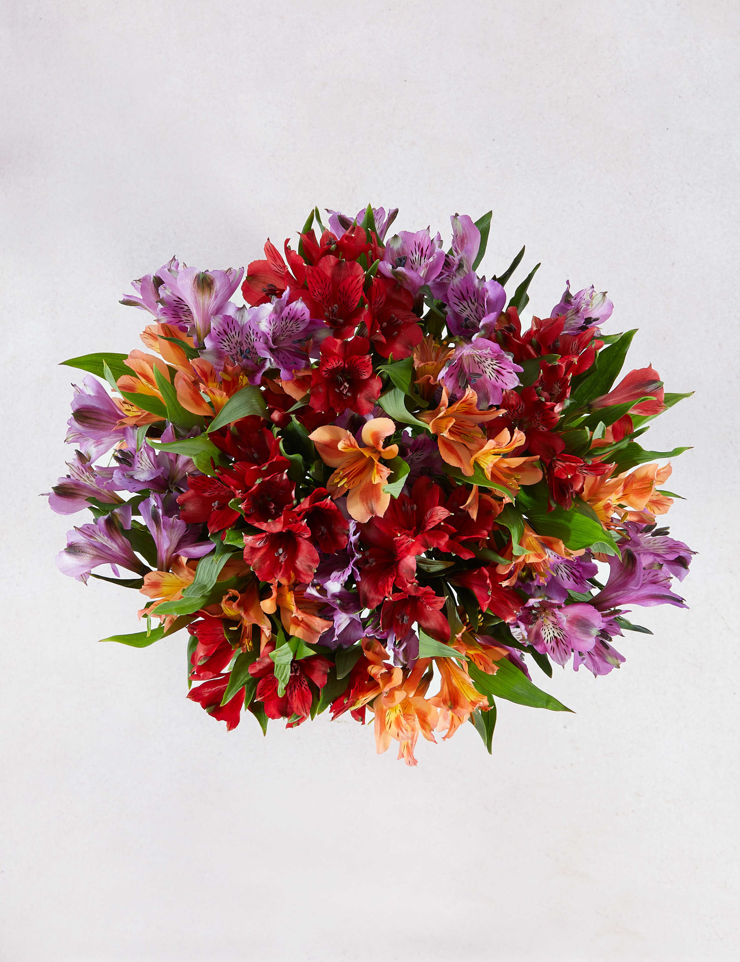 Alstroemeria Abundance Christmas Bouquet 2 of 4