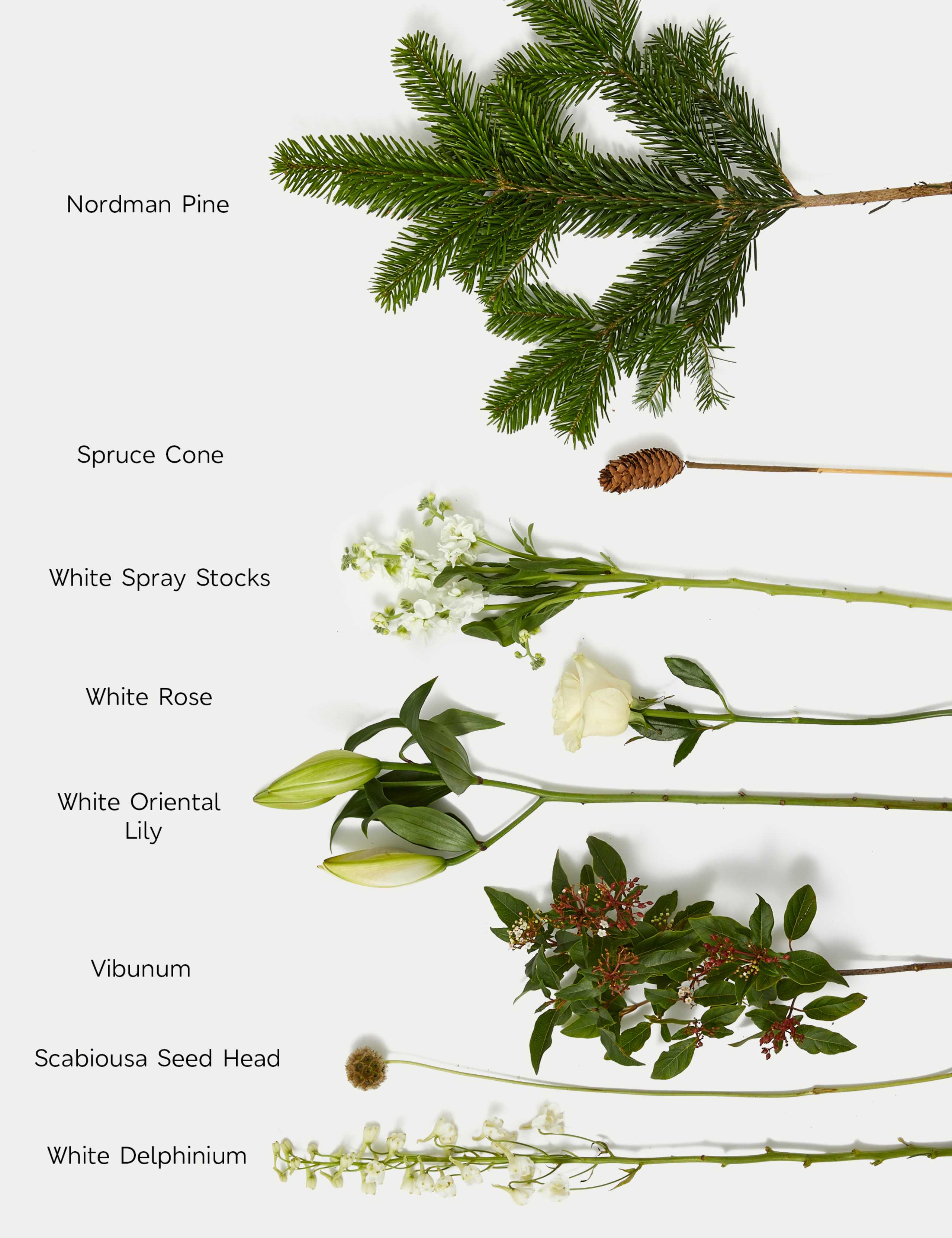 Luxury White Rose & Spray Stock Christmas Bouquet 5 of 6