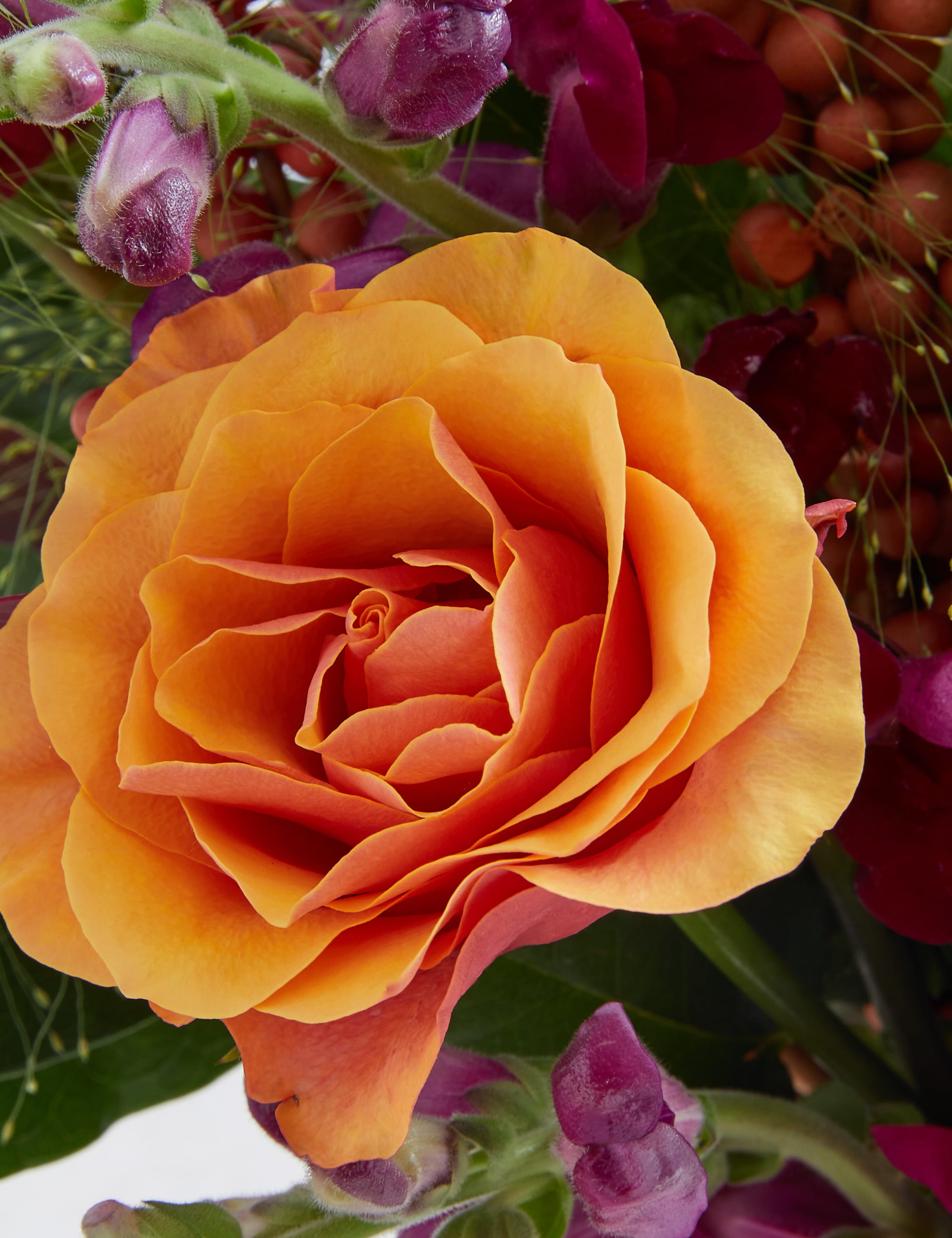 Bouquet of the Season 4 of 4