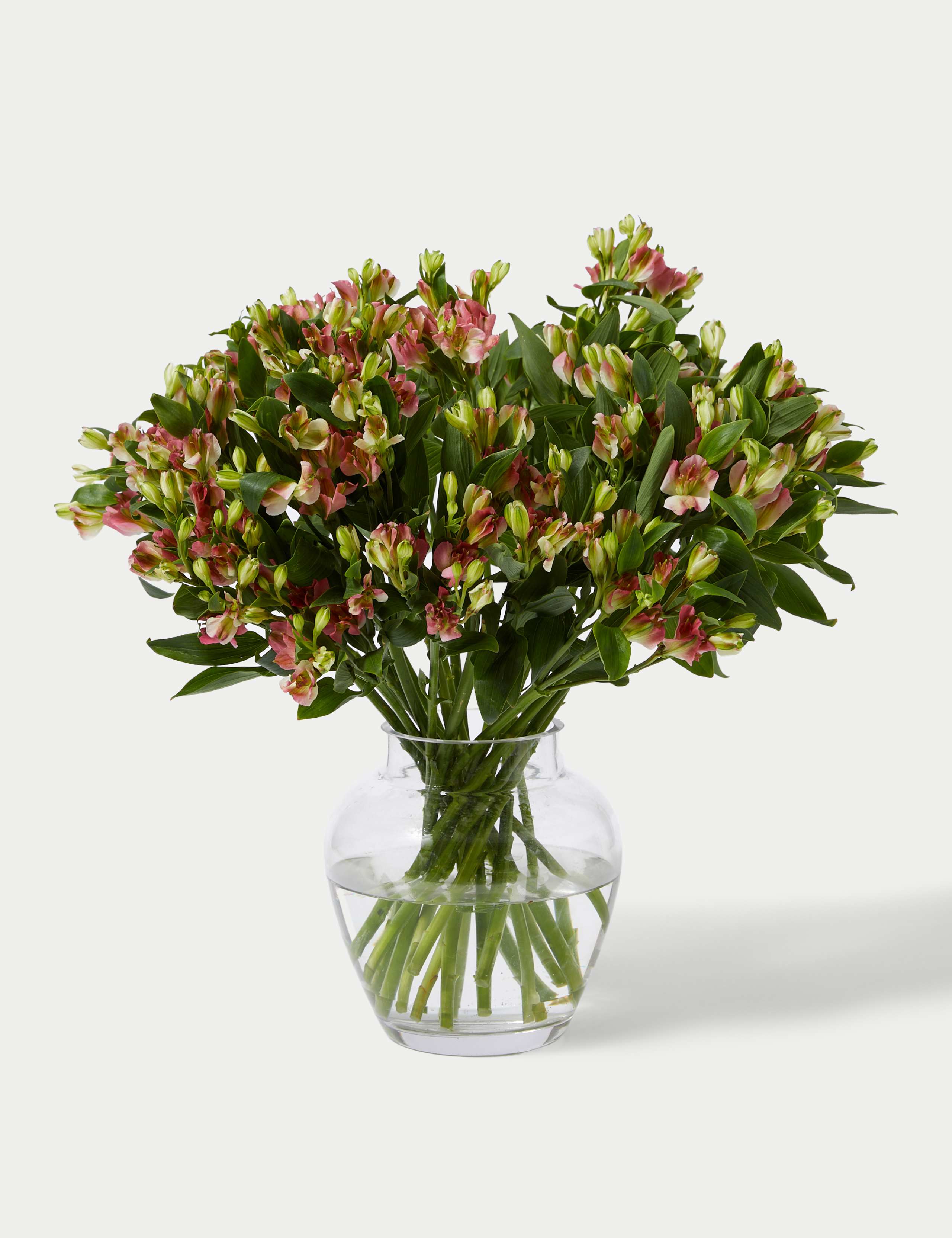 Charmelia Abundance Bouquet 3 of 5
