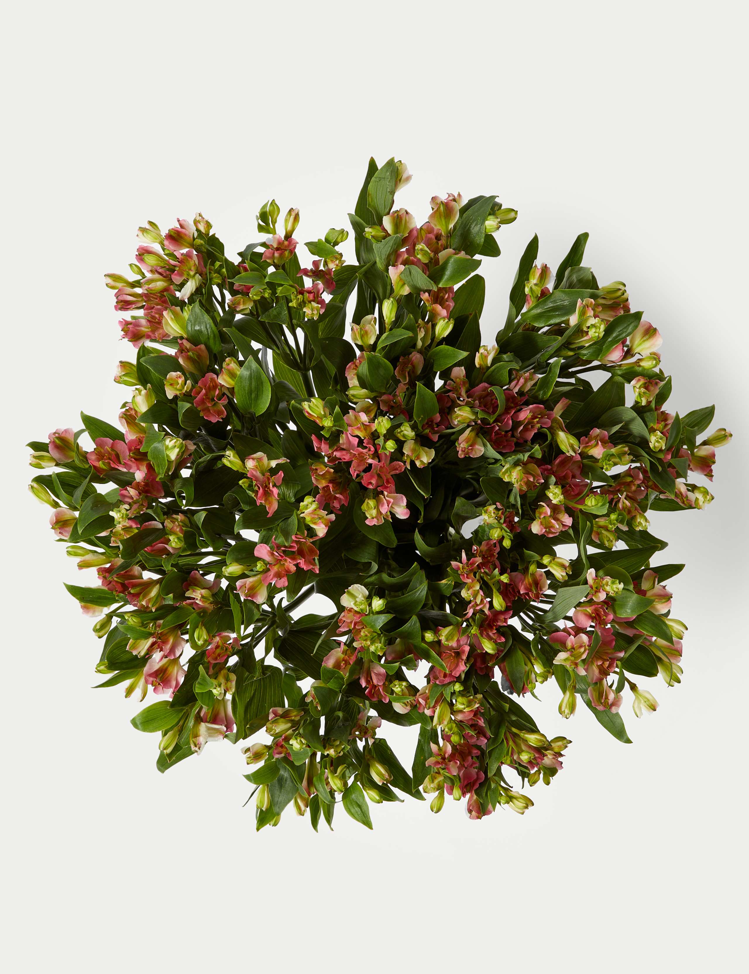 Charmelia Abundance Bouquet 2 of 5