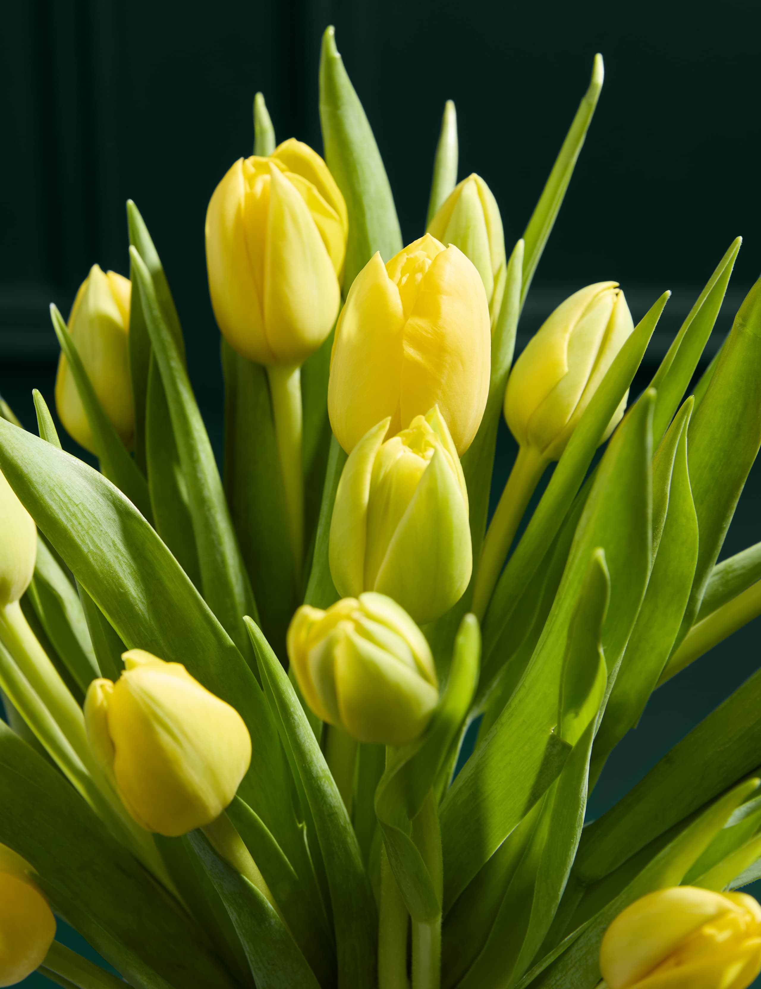 Easter Yellow Tulip Abundance Bouquet 3 of 6