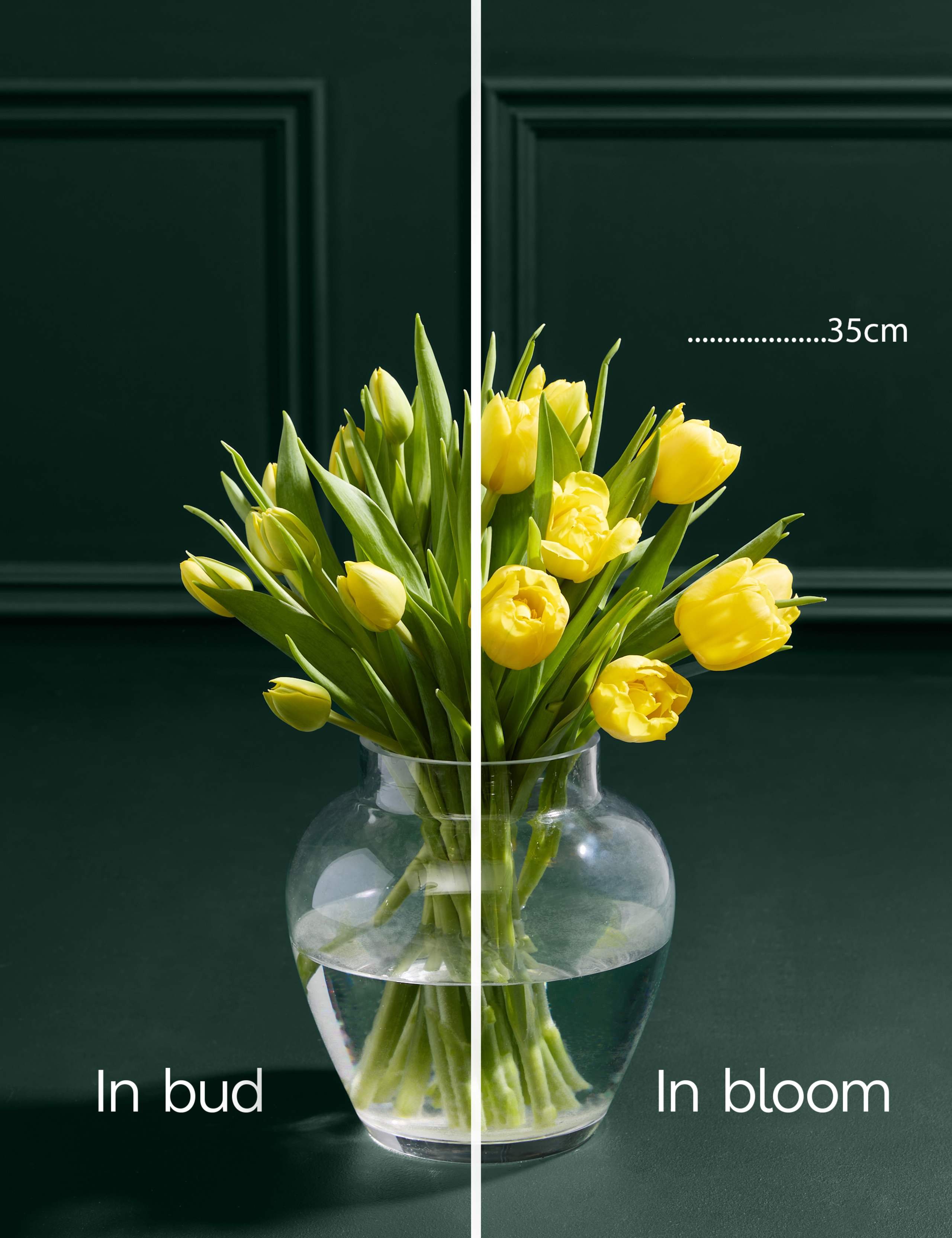 Easter Yellow Tulip Abundance Bouquet 4 of 6