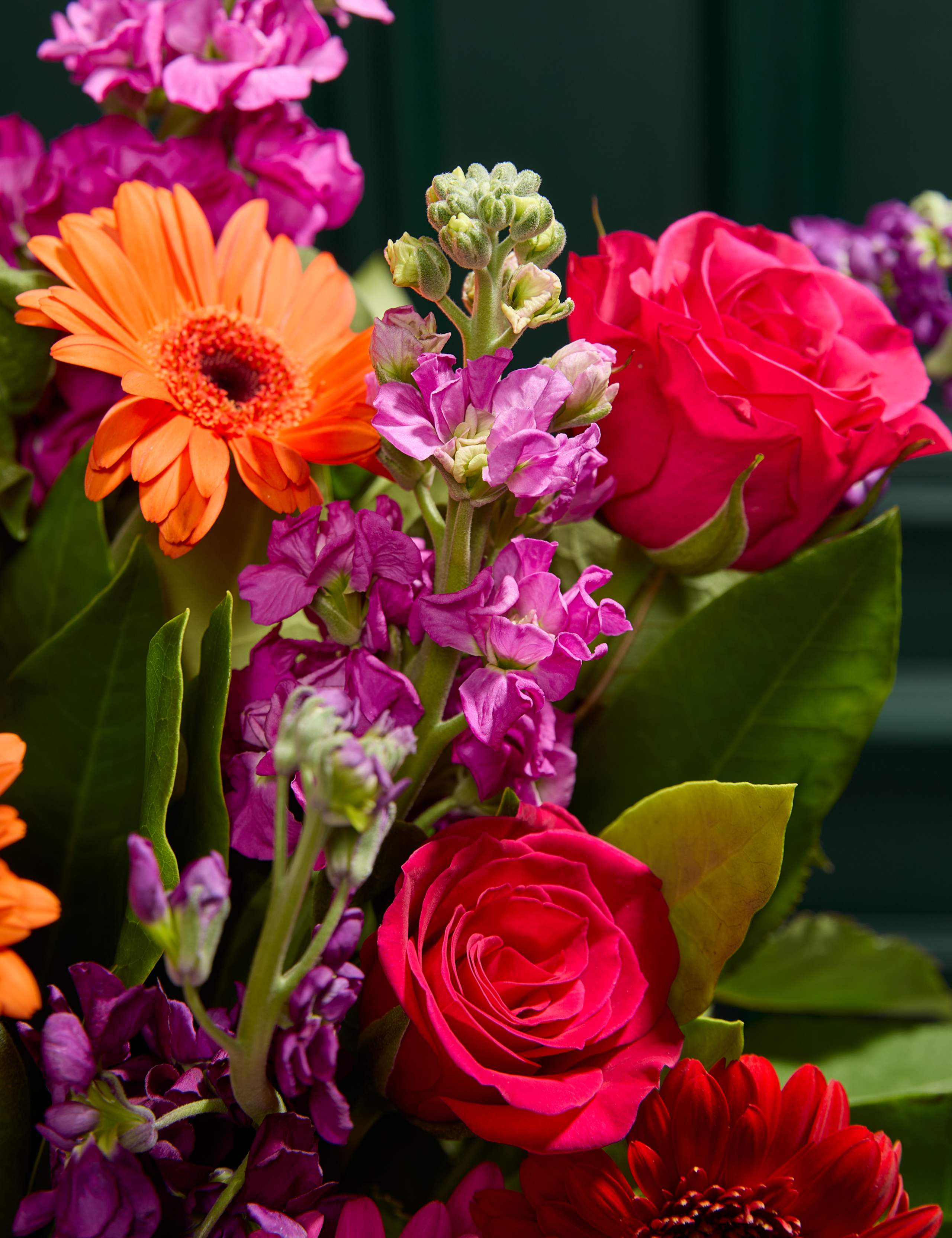 Bright Rose, Germini & Stocks Bouquet 3 of 6