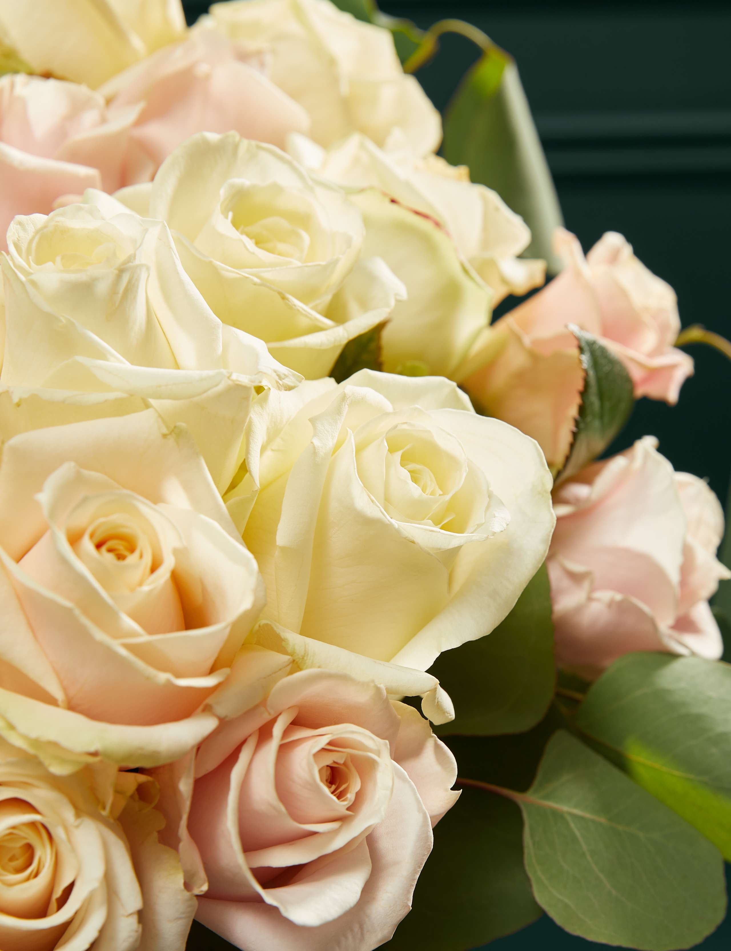 Valentine's Pastel Rose Bouquet 4 of 8