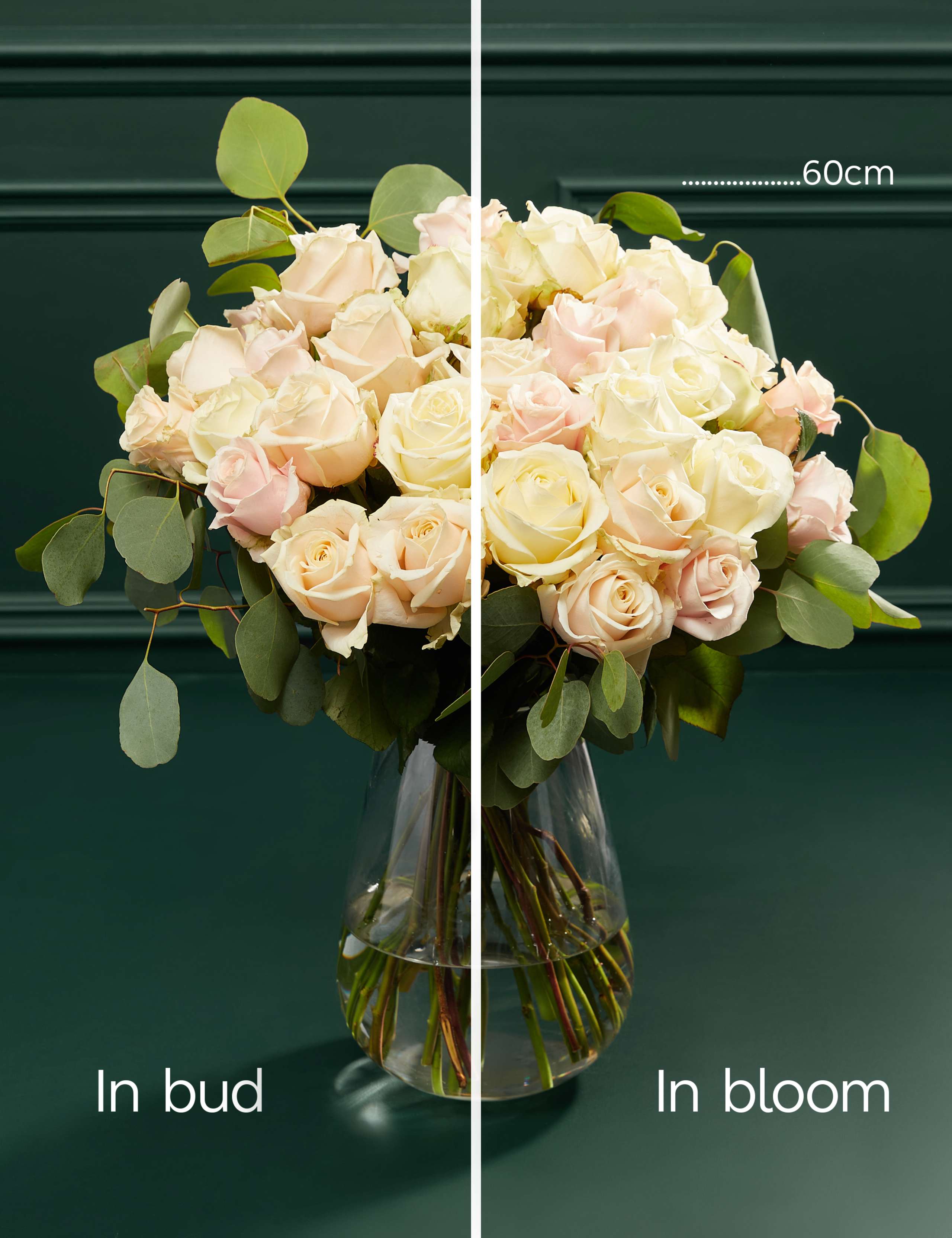 Valentine's Pastel Rose Bouquet 5 of 8