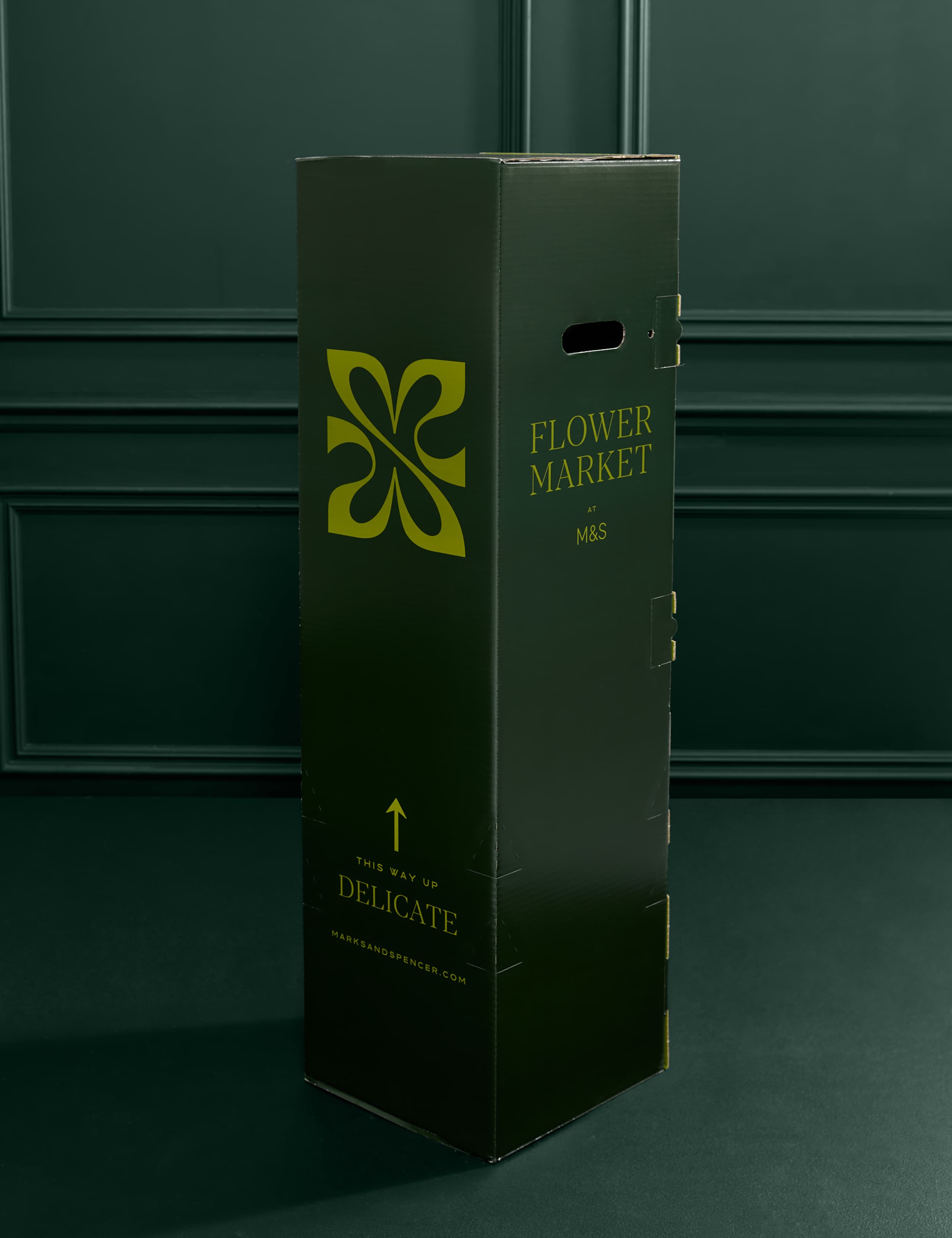 Large Monstera (Swiss Cheese Plant) 4 of 5