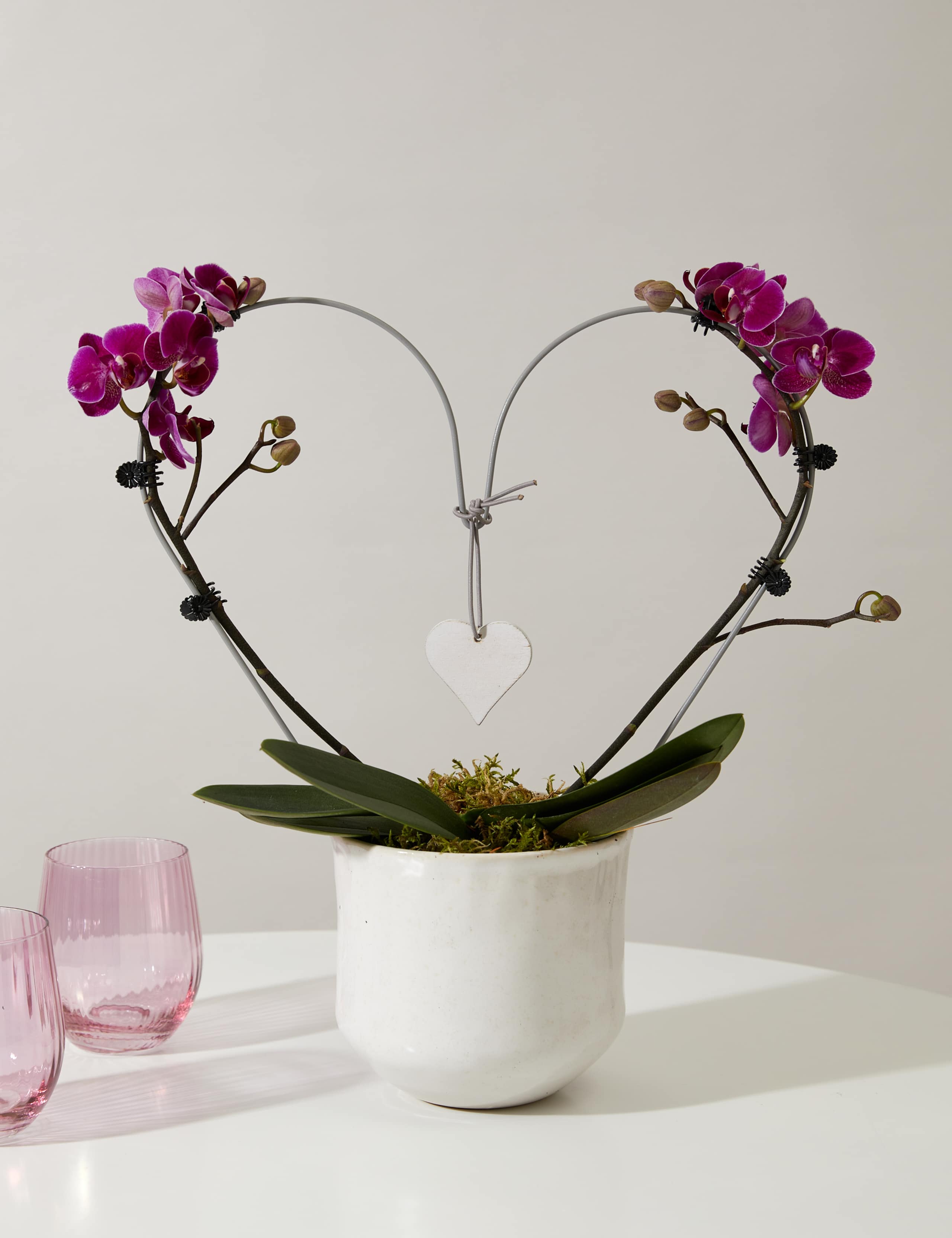 Amethyst Heart Orchid 1 of 4