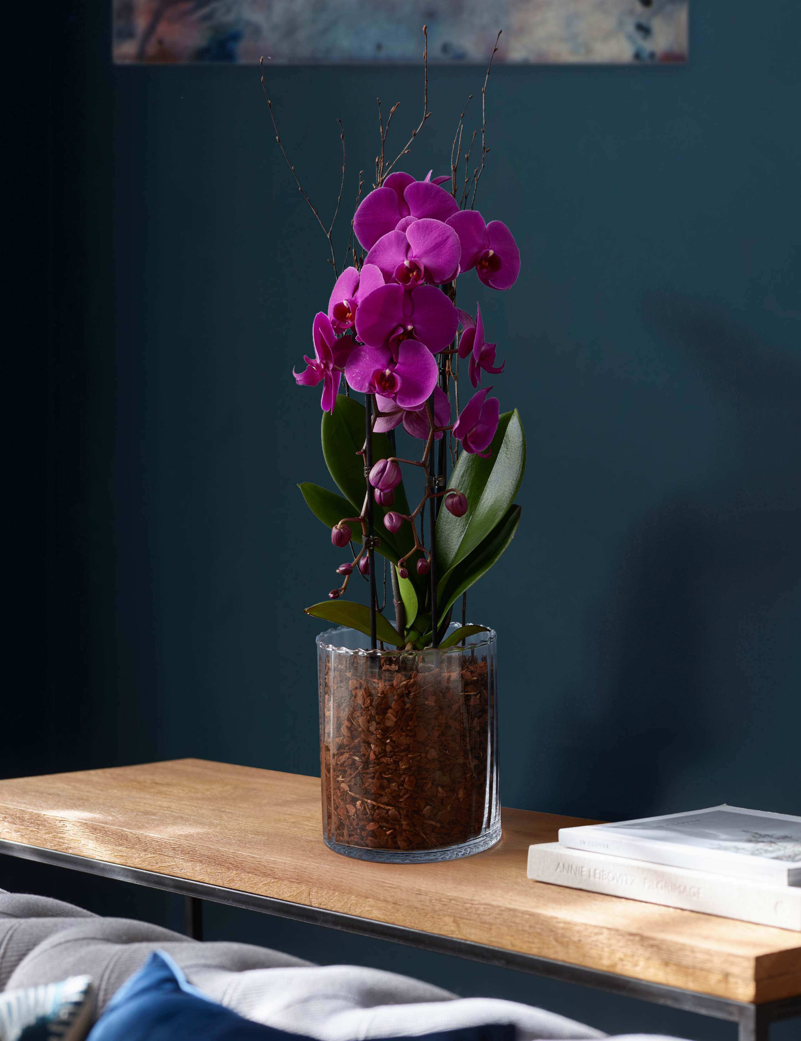Luxury Purple  Phalaenopsis Orchid Cascade in Glass 1 of 4