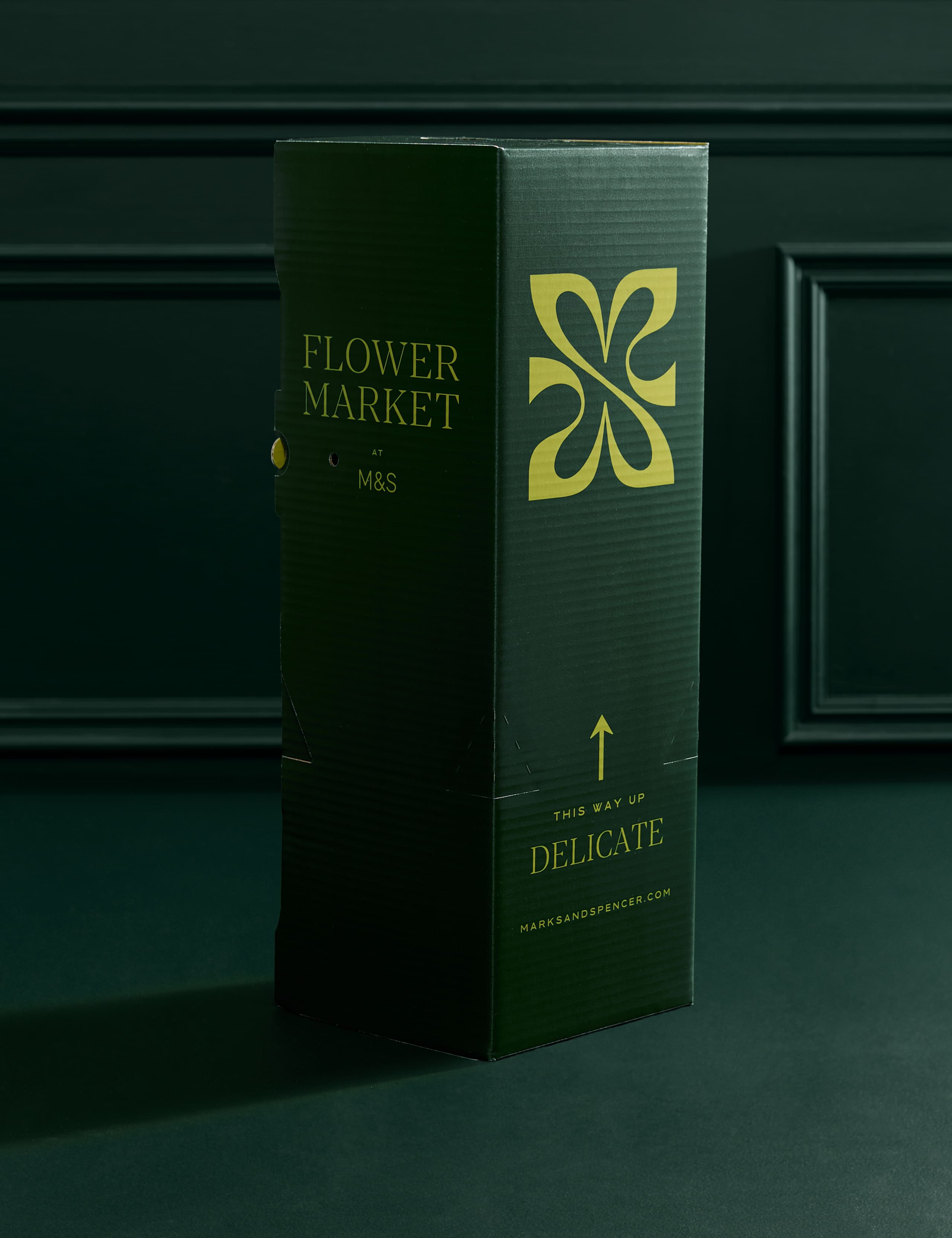 Pineapple Plant in Ceramic Pot 4 of 5