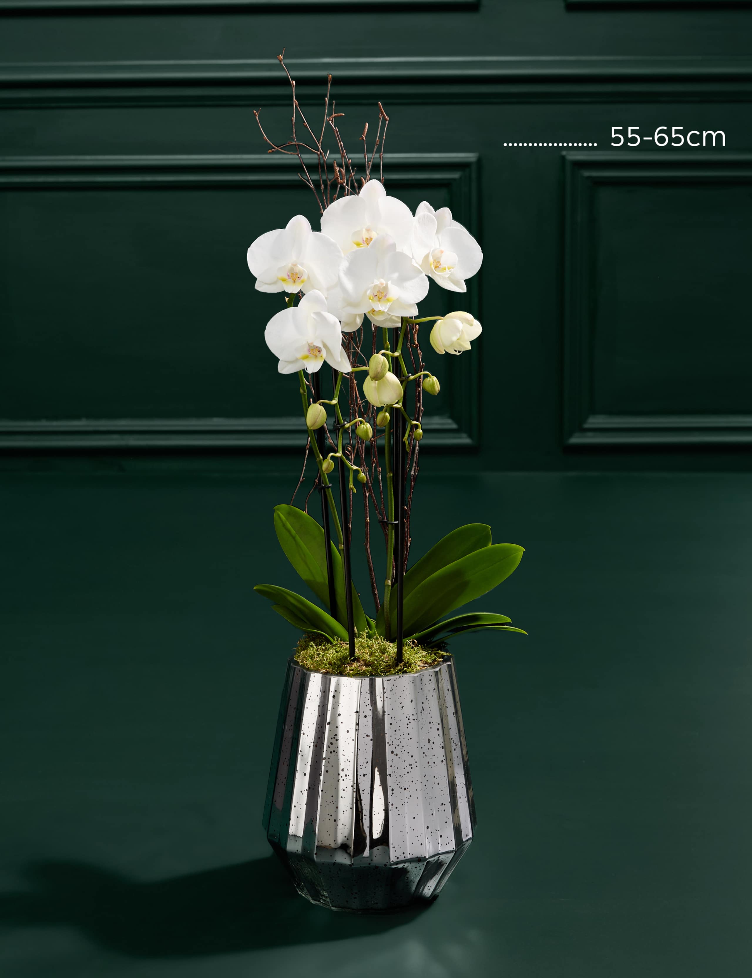 White Orchid Cascade in Silver Glass Pot 3 of 3