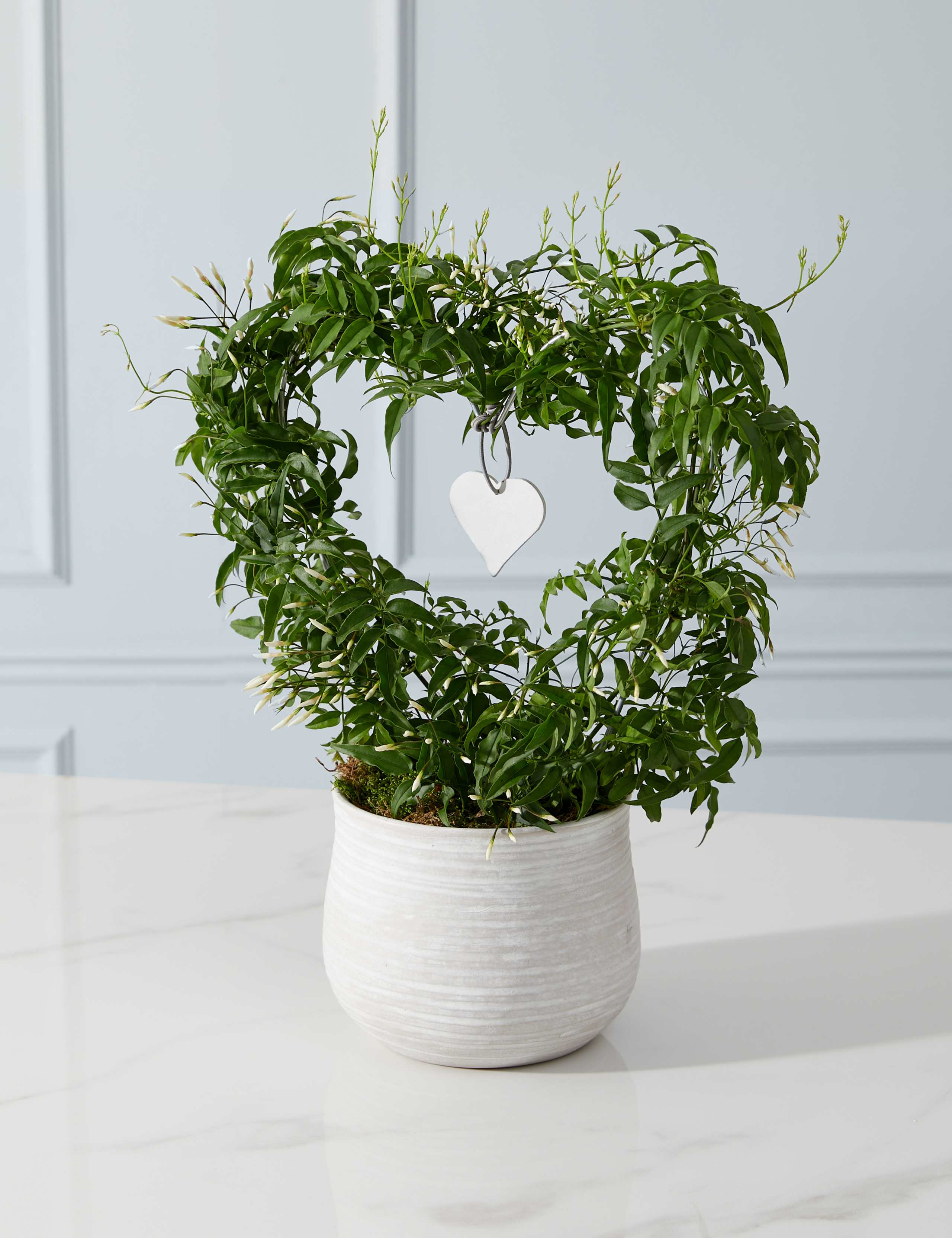 Jasmine Heart Ceramic Planter 1 of 4