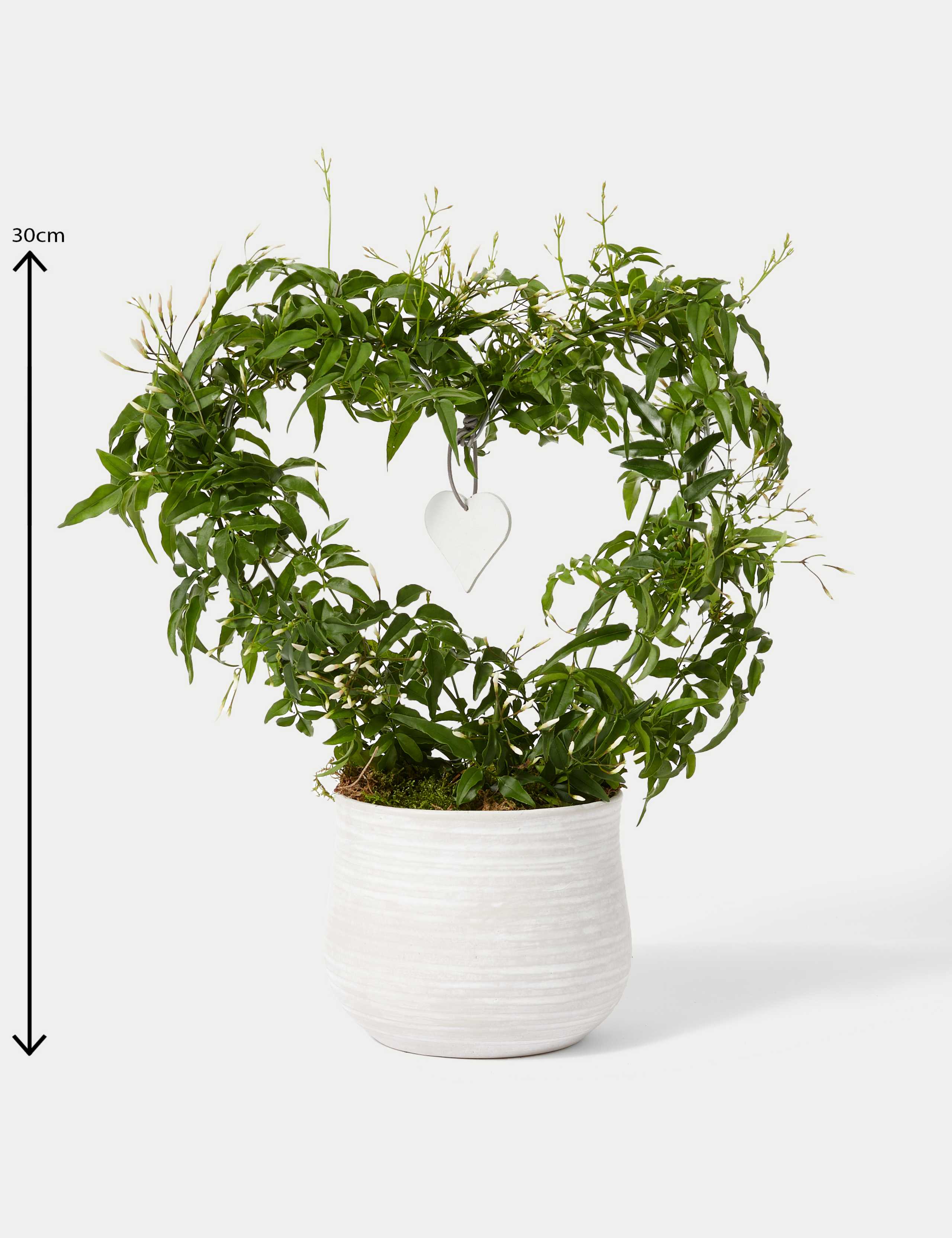 Jasmine Heart Ceramic Planter 2 of 4