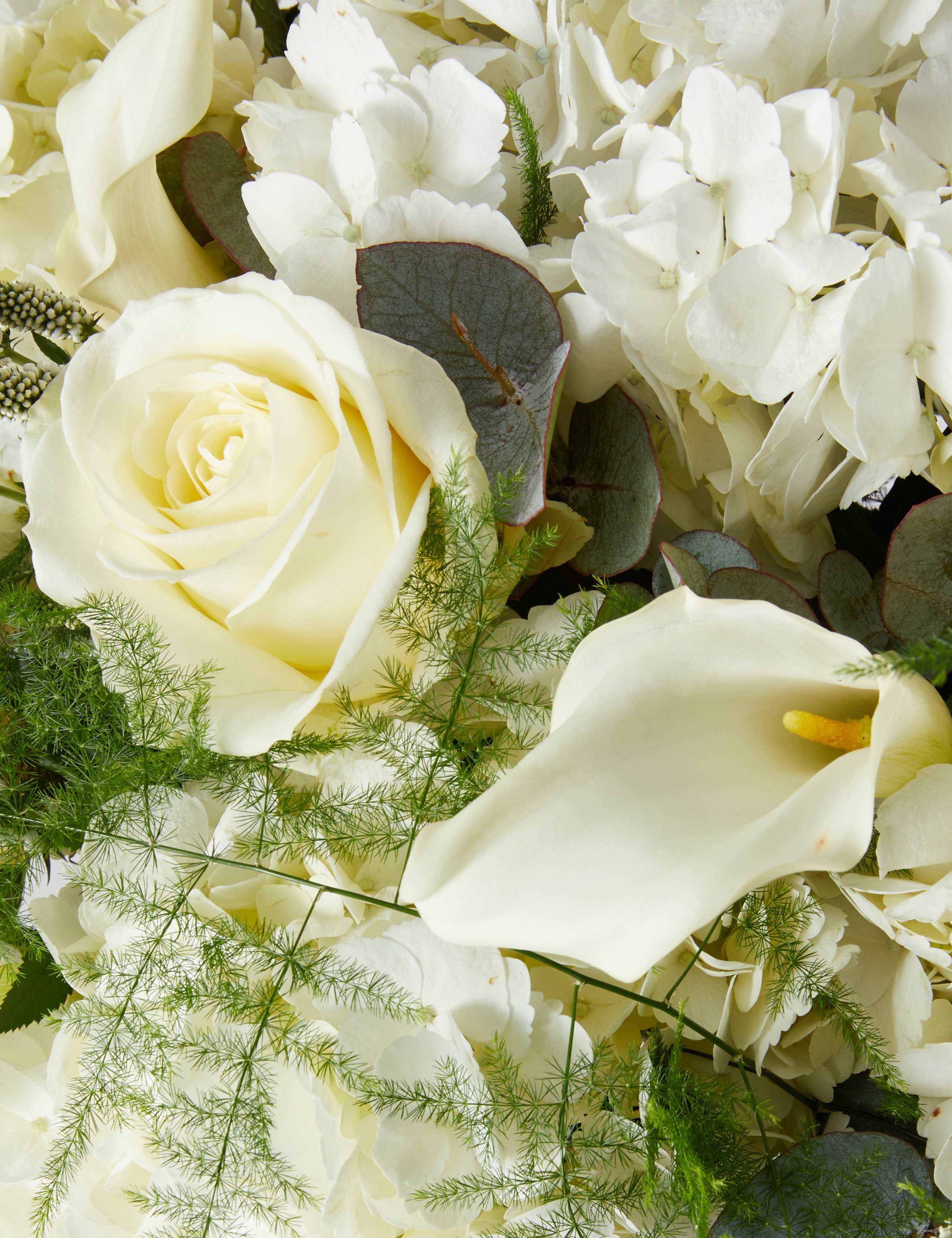 Mother's Day Ultimate Flowers White Bouquet 4 of 4