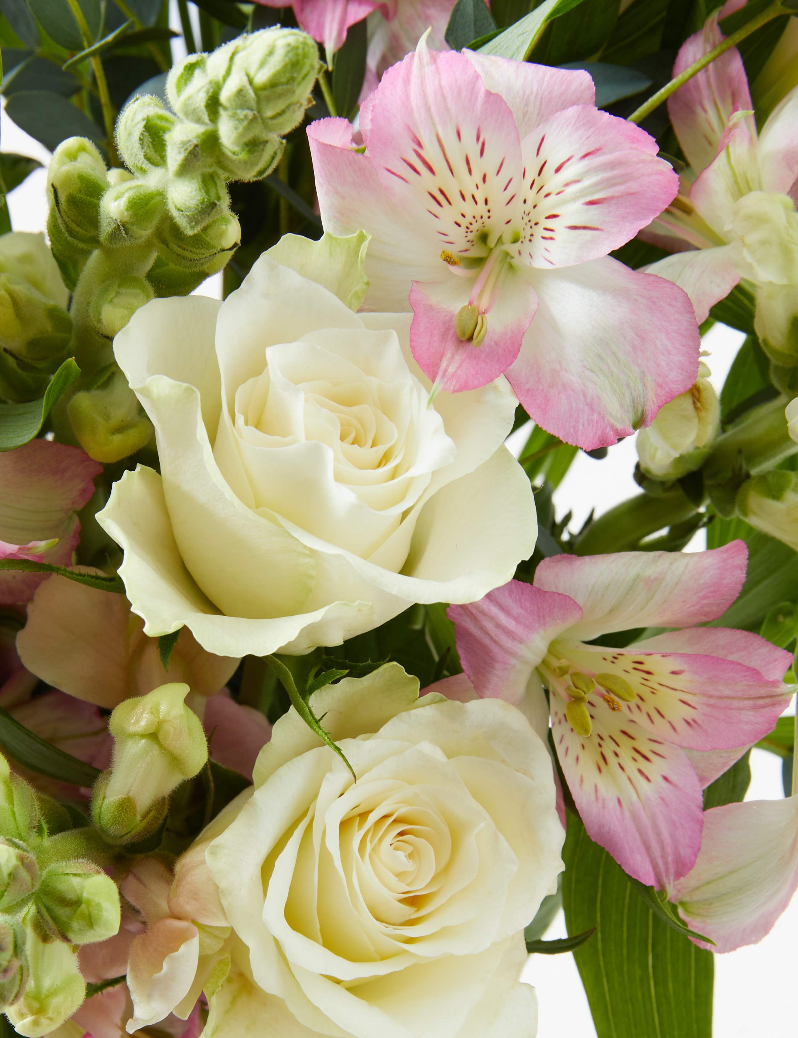 Lovely Mum Bouquet & Prosecco Rosé Bundle 4 of 4