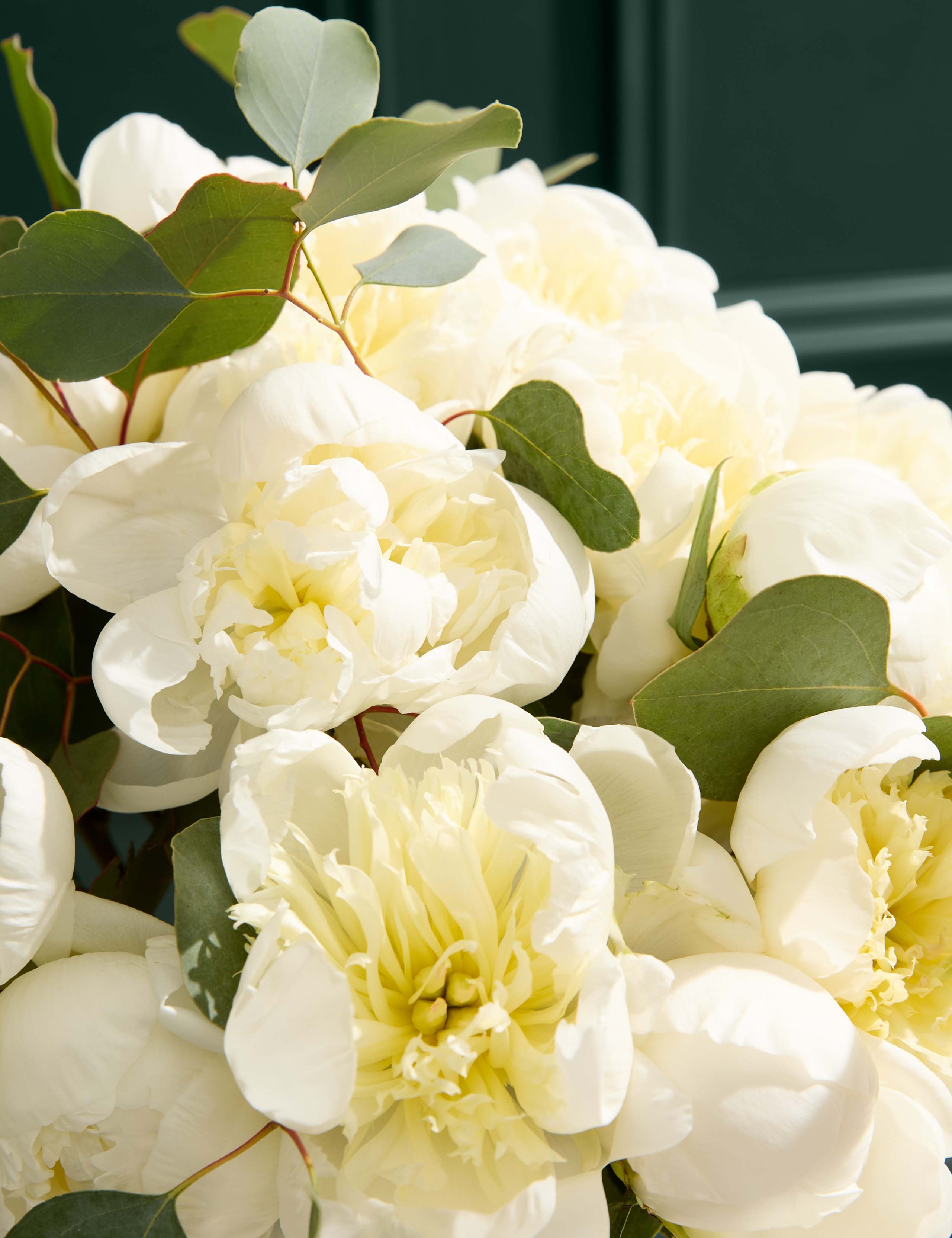British White Peony Bouquet 3 of 6