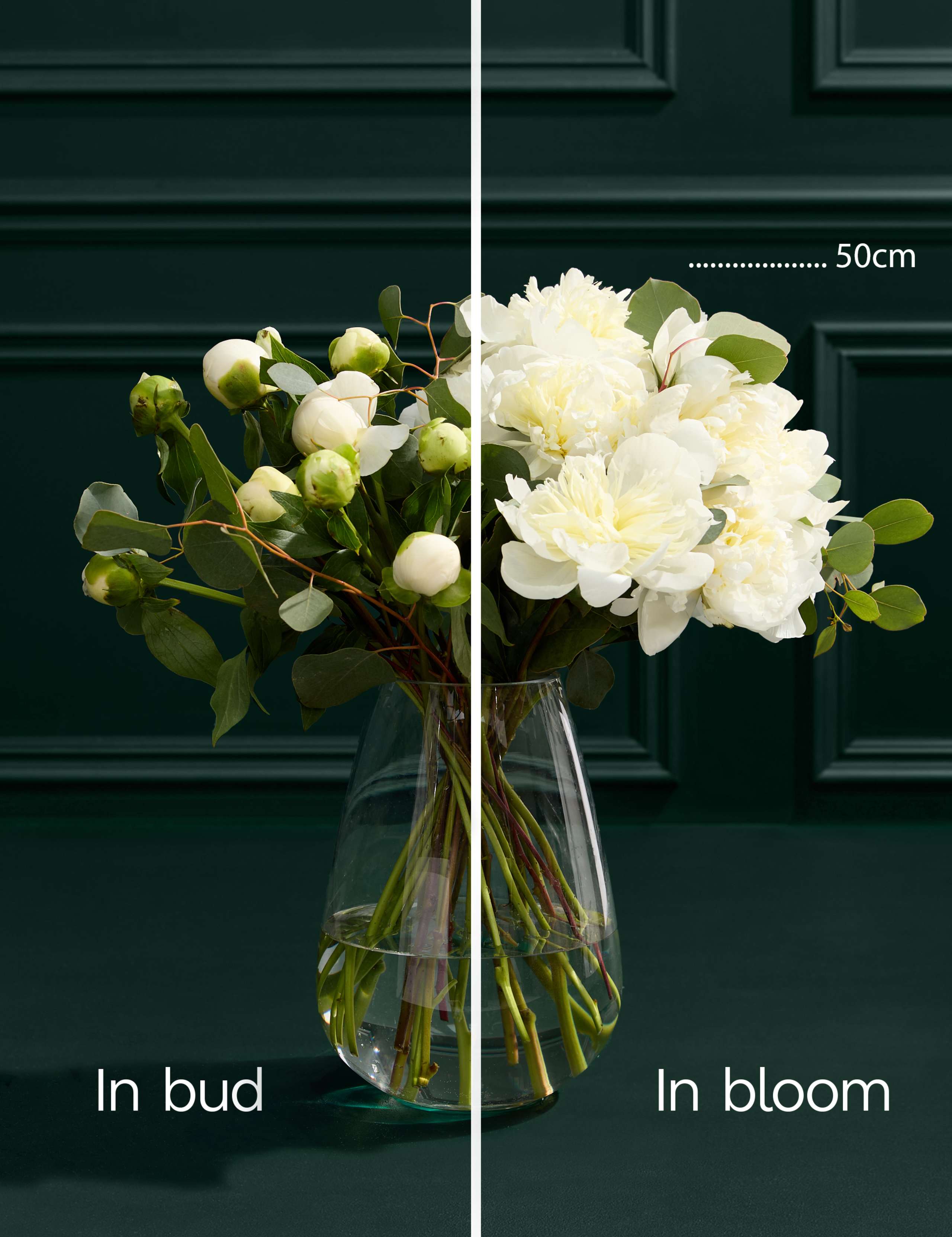 British White Peony Bouquet 4 of 6