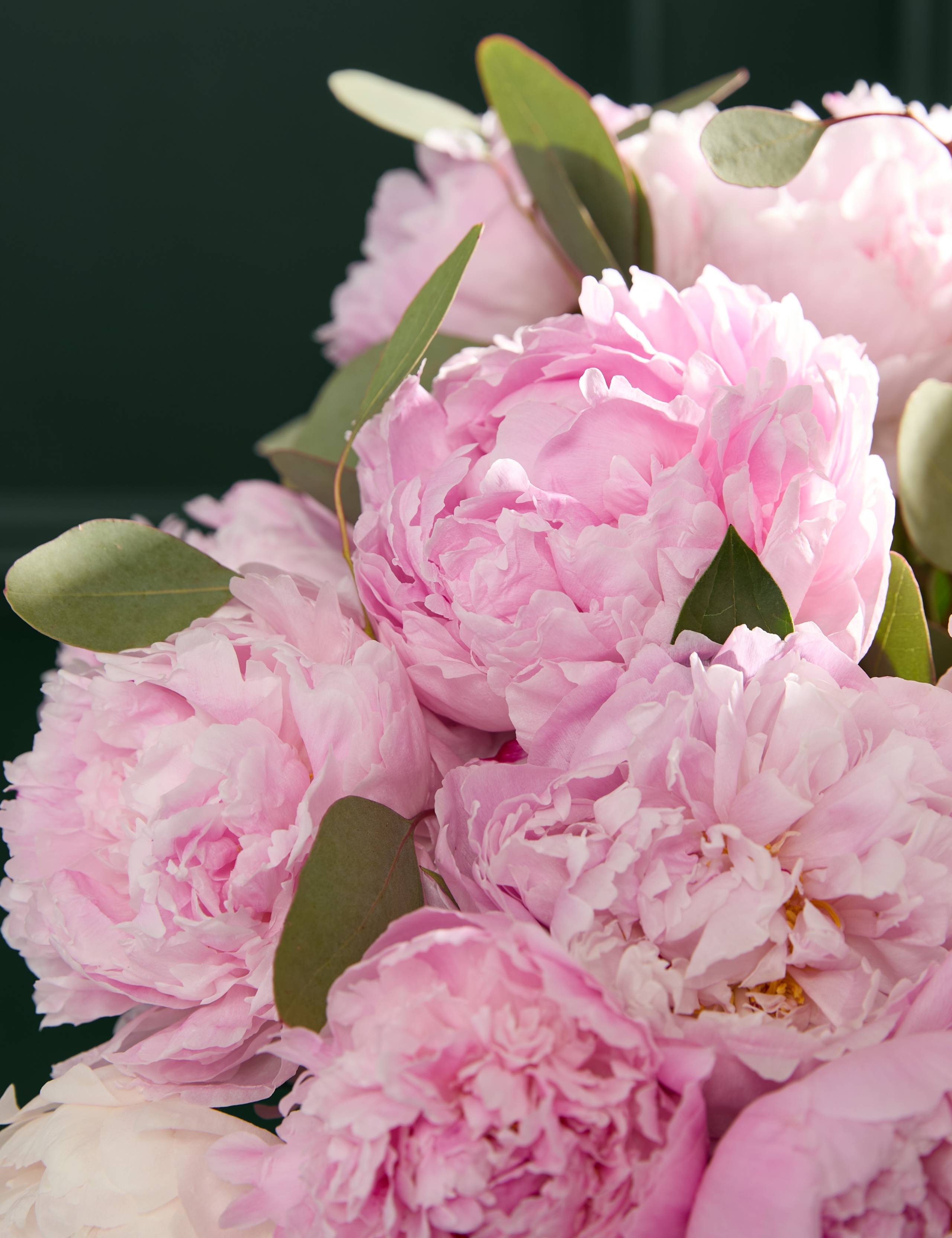 British Pink Peony Bouquet 3 of 6