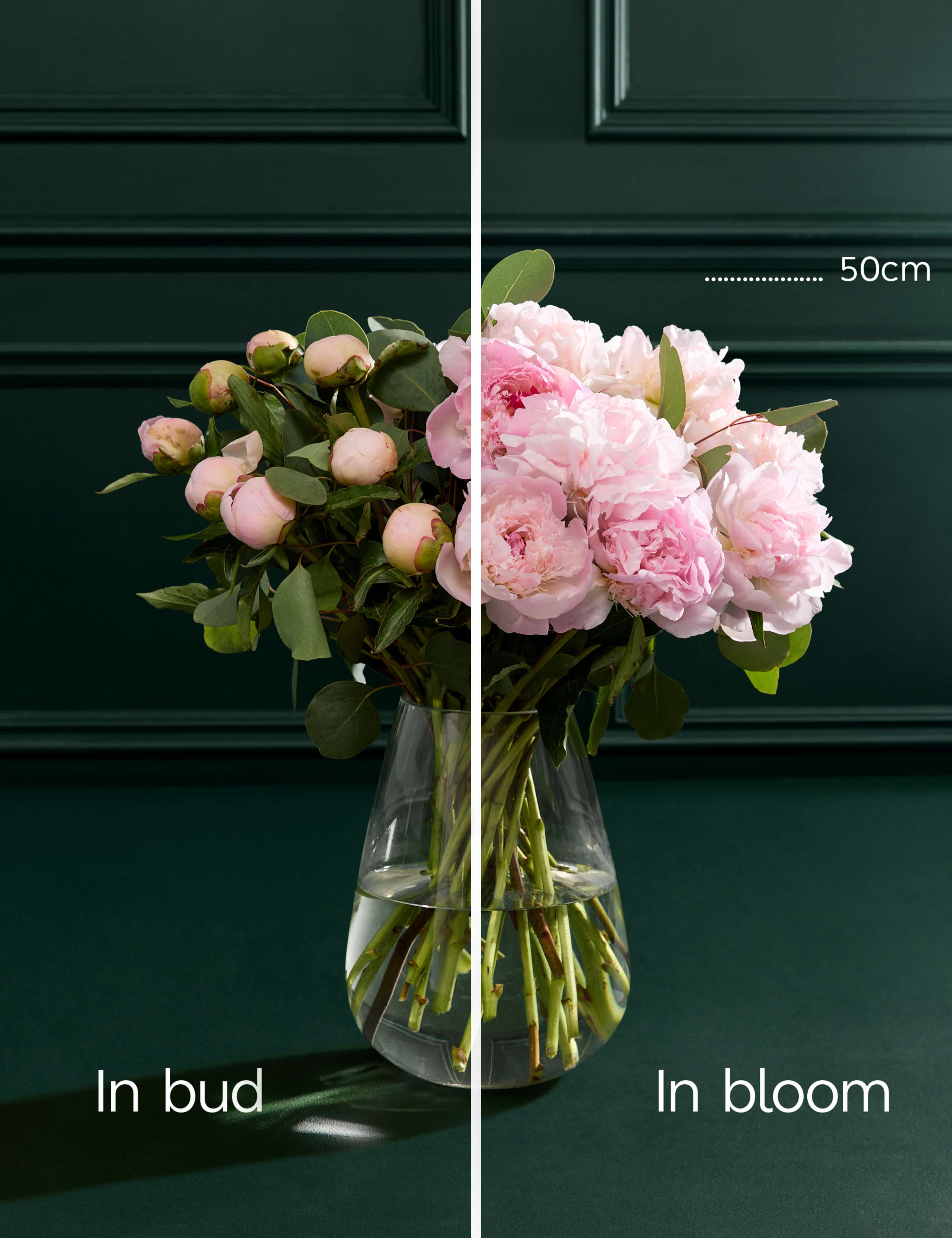 British Pink Peony Bouquet 4 of 6